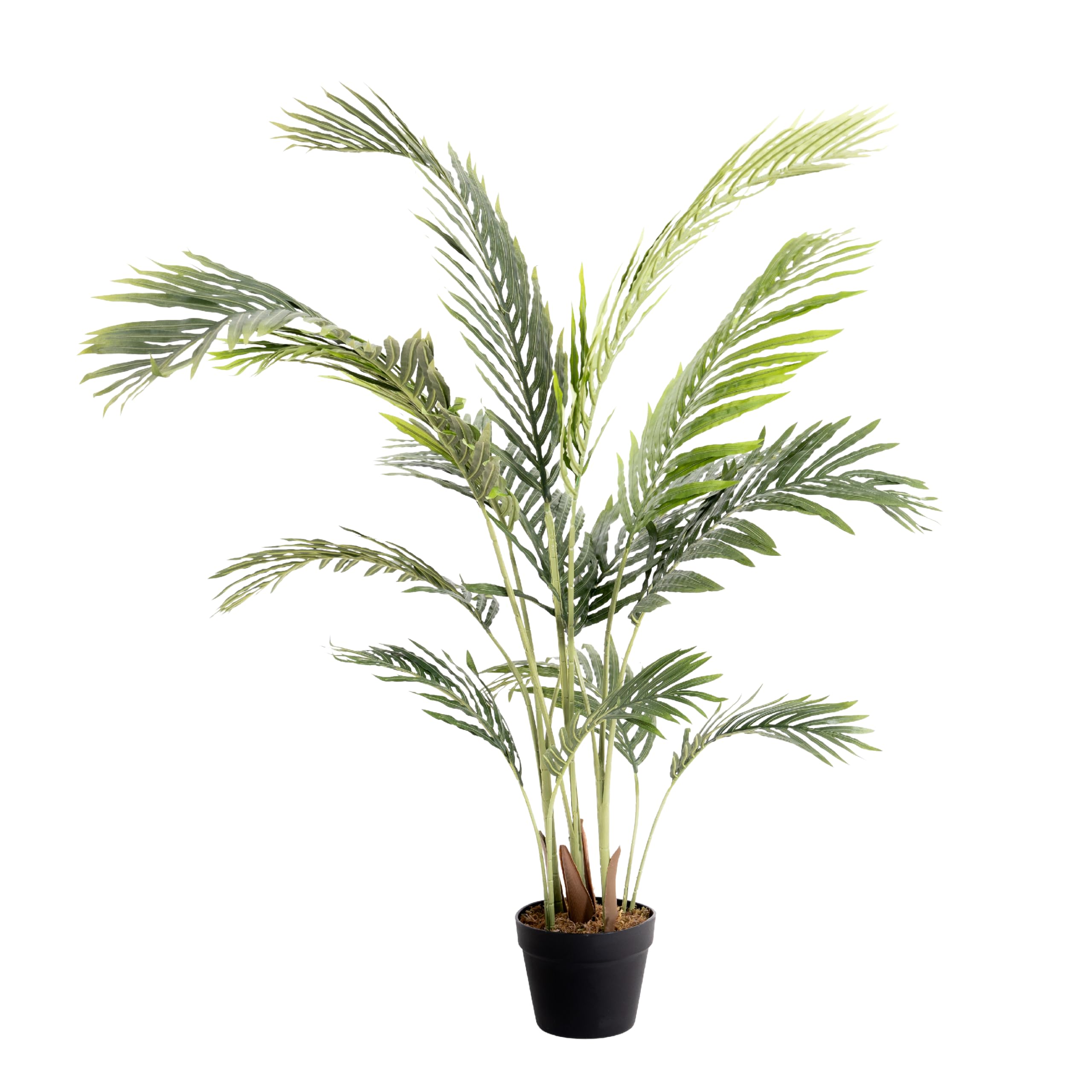 Blooming Artificial - Artificial Palm Tree, Realistic Fake Paradise Palm Plant Indoor for the Home and Office, Year Round Decorative Plastic Foliage (Green) (125cm)