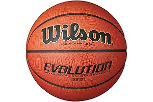 Wilson Evolution Game Basketball