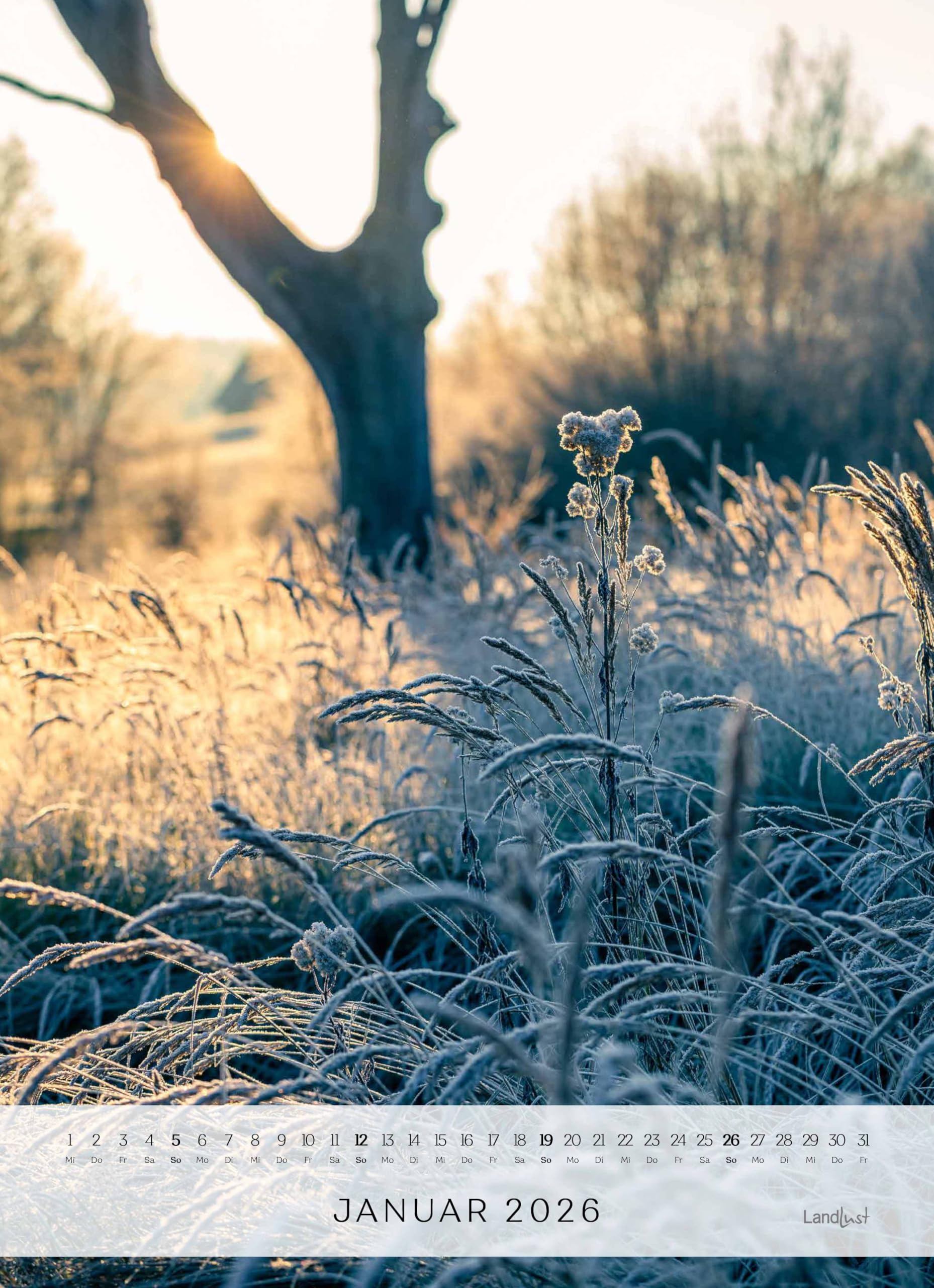 Landlust - Landlust: Jahreskalender 2026 Wand-Kalender - Poster-Kalender - Fotografie - Gartenkalender 45x62