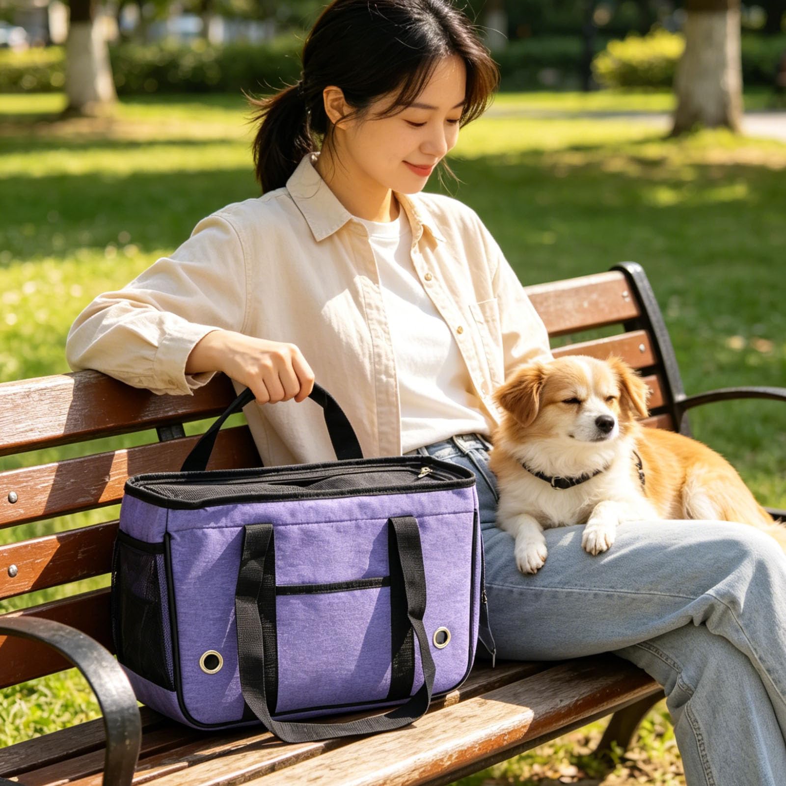 Transportín para Gatos con Lados Blandos, Transportadores con Lados Blandos, Transportador para Mascotas Aprobado, Jaula Plegable para Cachorros de Viaje para Senderismo, Metro, Avión, Coche,