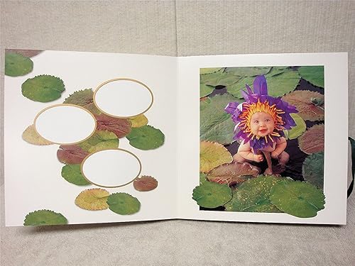 Miniatura 8 de K-Musculo 1 álbum de fotos de Anne Geddes