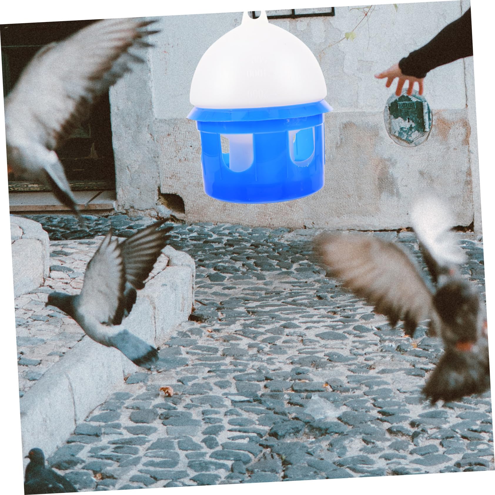 Tauben Wasserspender Automatische Selbsttränke 4l Kunststoff Blau Taubenbedarf Haustier Vogeltränke Für Garten Und Taubenzucht