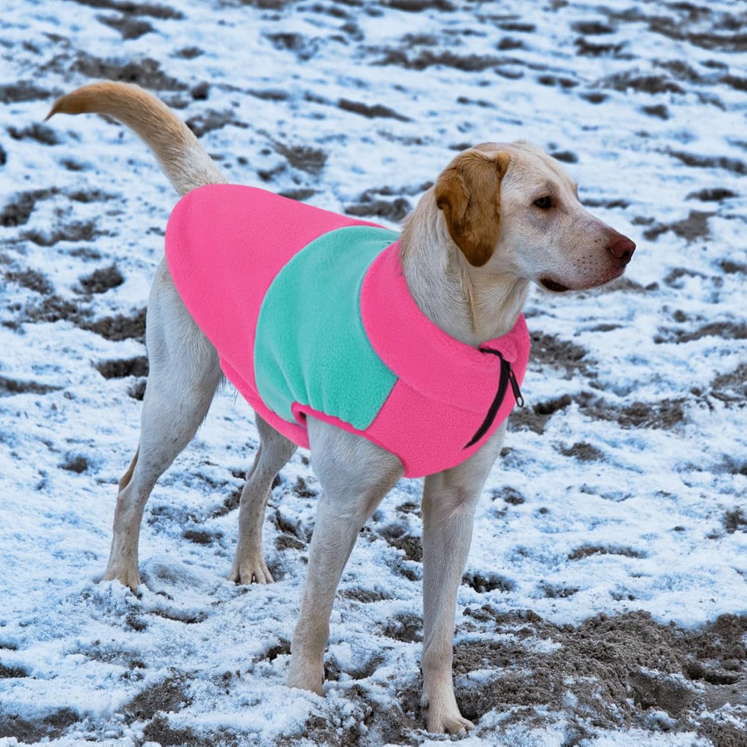 Queenmore Dog Sweater - Fleece Jacket for Large Dogs - Winter Pet Apparel Boy Or Girl, Fuchsia/Mint, XL