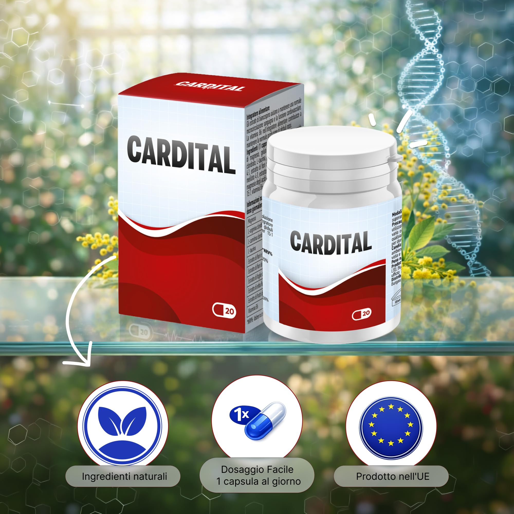 Integratore alimentare con L-Carnitina, Arginina, Magnesio e Vitamina B6 (5)