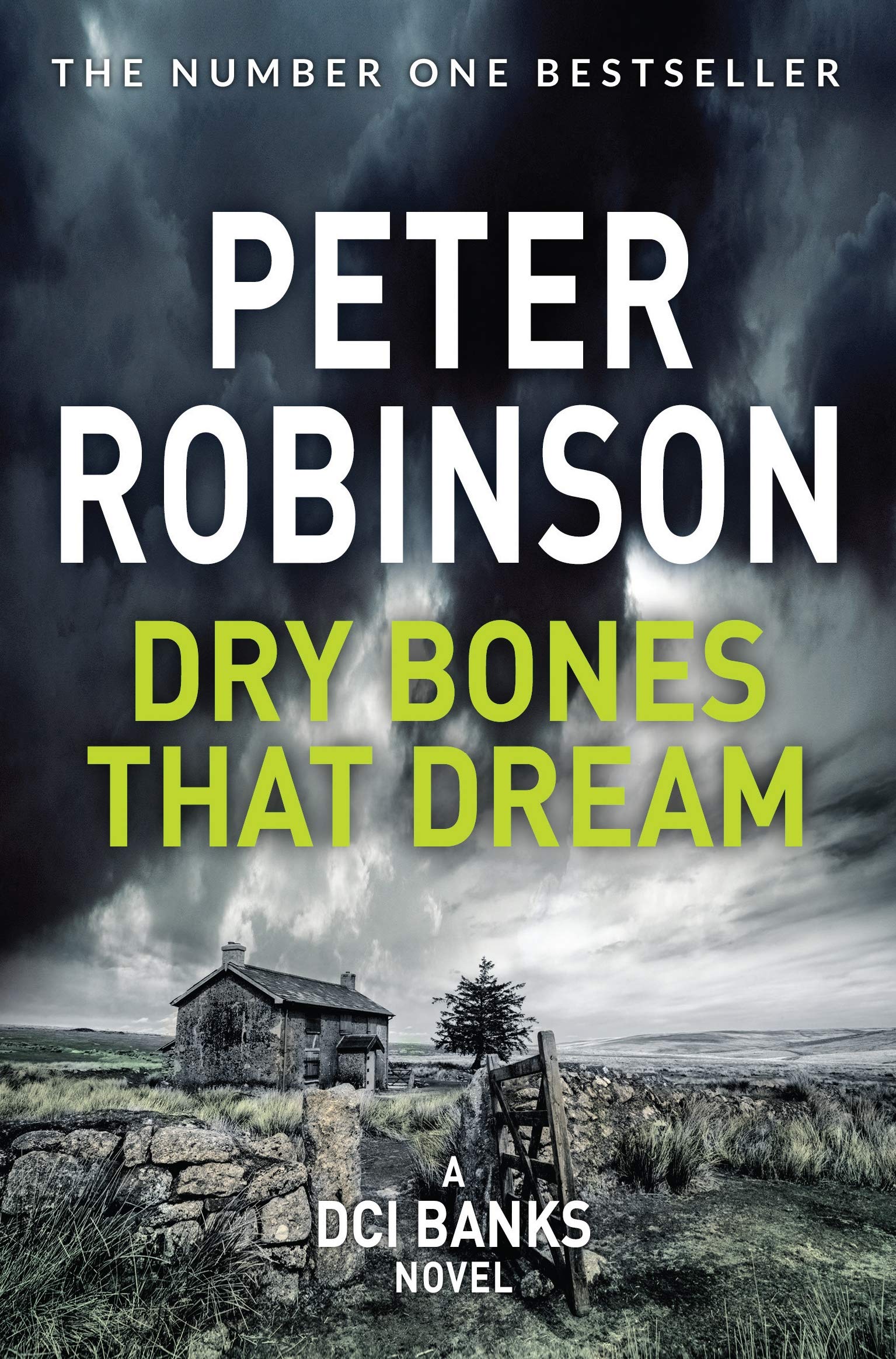 Dry Bones That Dream (The Inspector Banks series) By Peter Robi .9781509859115