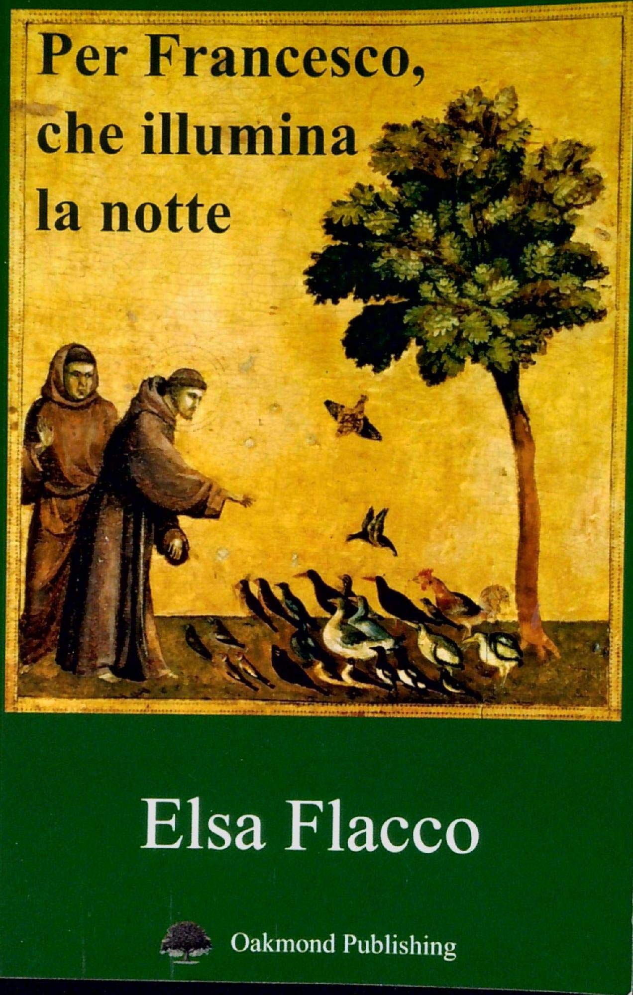 Per Francesco, che illumina la notte (Italian Edition)
