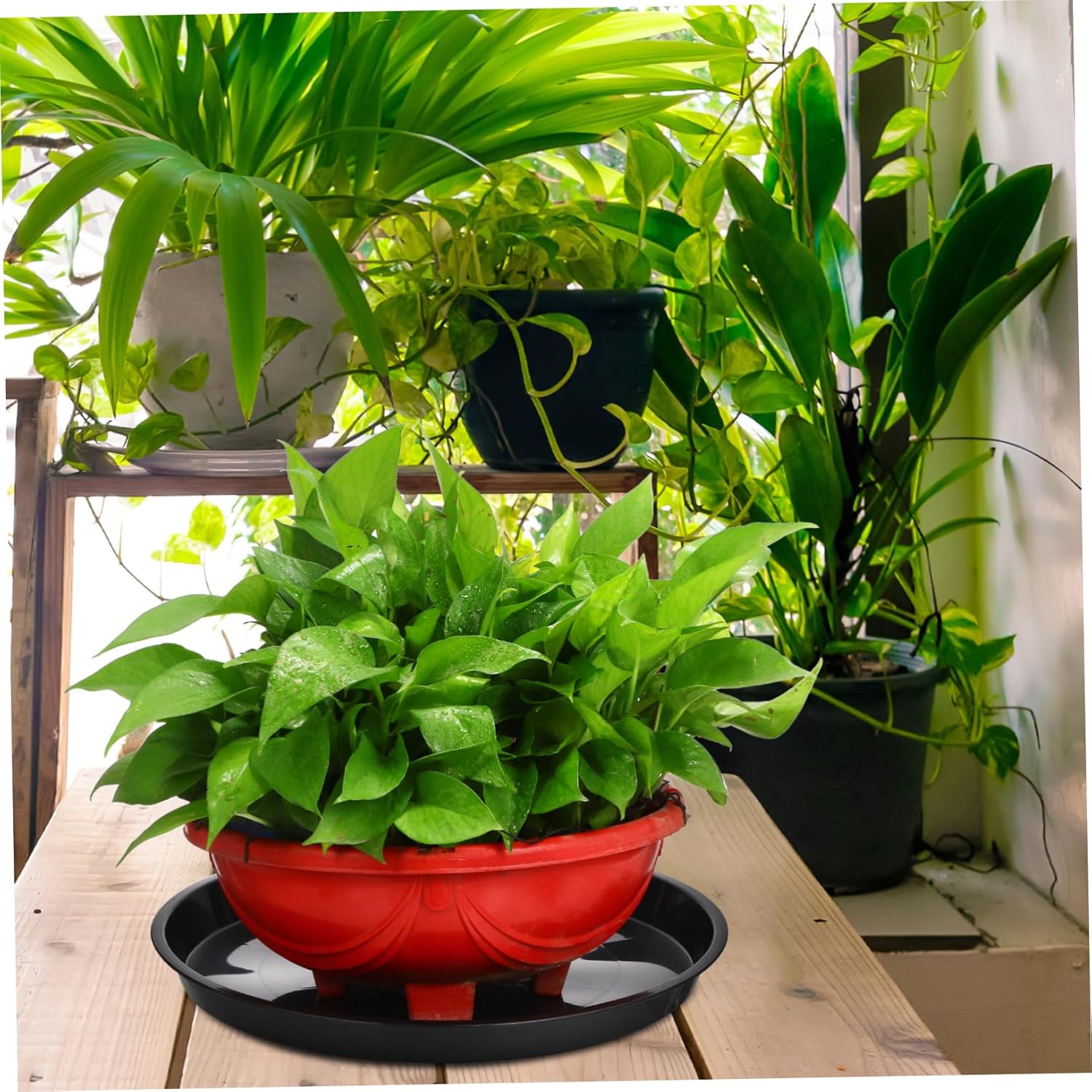 10 Pcs Plastic Plant Pot Trays Floral Saucers Raised Edges Garden Plant Pot Trays Home Decor