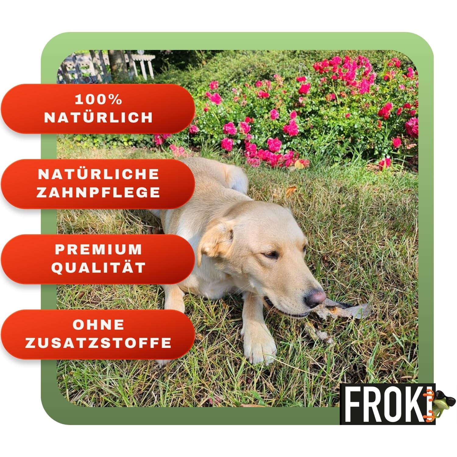 FROKI Lot de 10 oreilles de bœuf de qualité supérieure avec fourrure pour grands et petits chiens - 100 % bœuf - 100 % naturel - Friandises pour chien - Friandises à mâcher naturelles - Soin dentaire