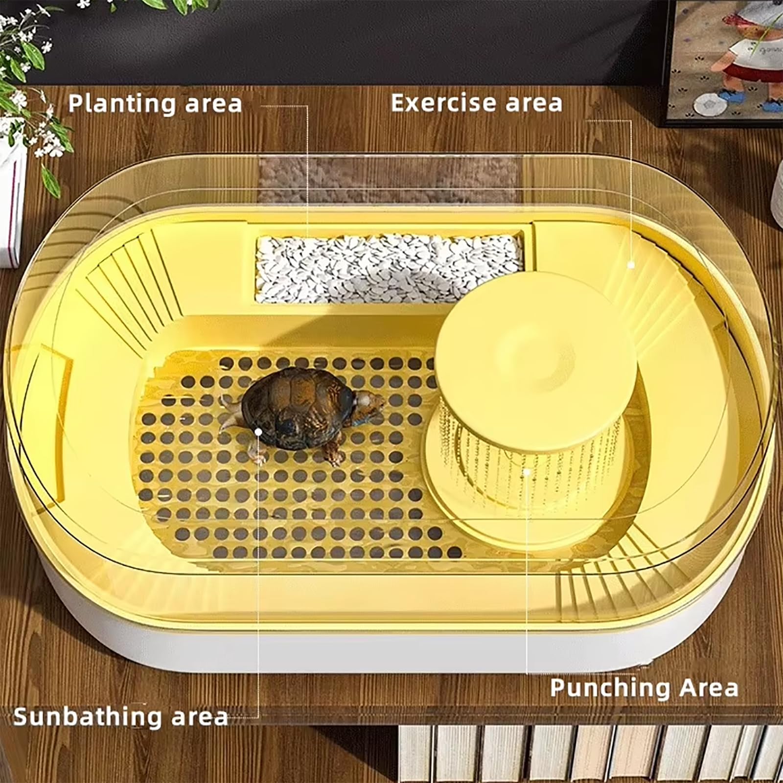 Kit De Inicio para Acuario De Tortugas, con Estructura De Drenaje Inferior Y Diseño Antiescape, Material Resistente Y Duradero, Ideal para Tortugas Y Cangrejos Ermitaños