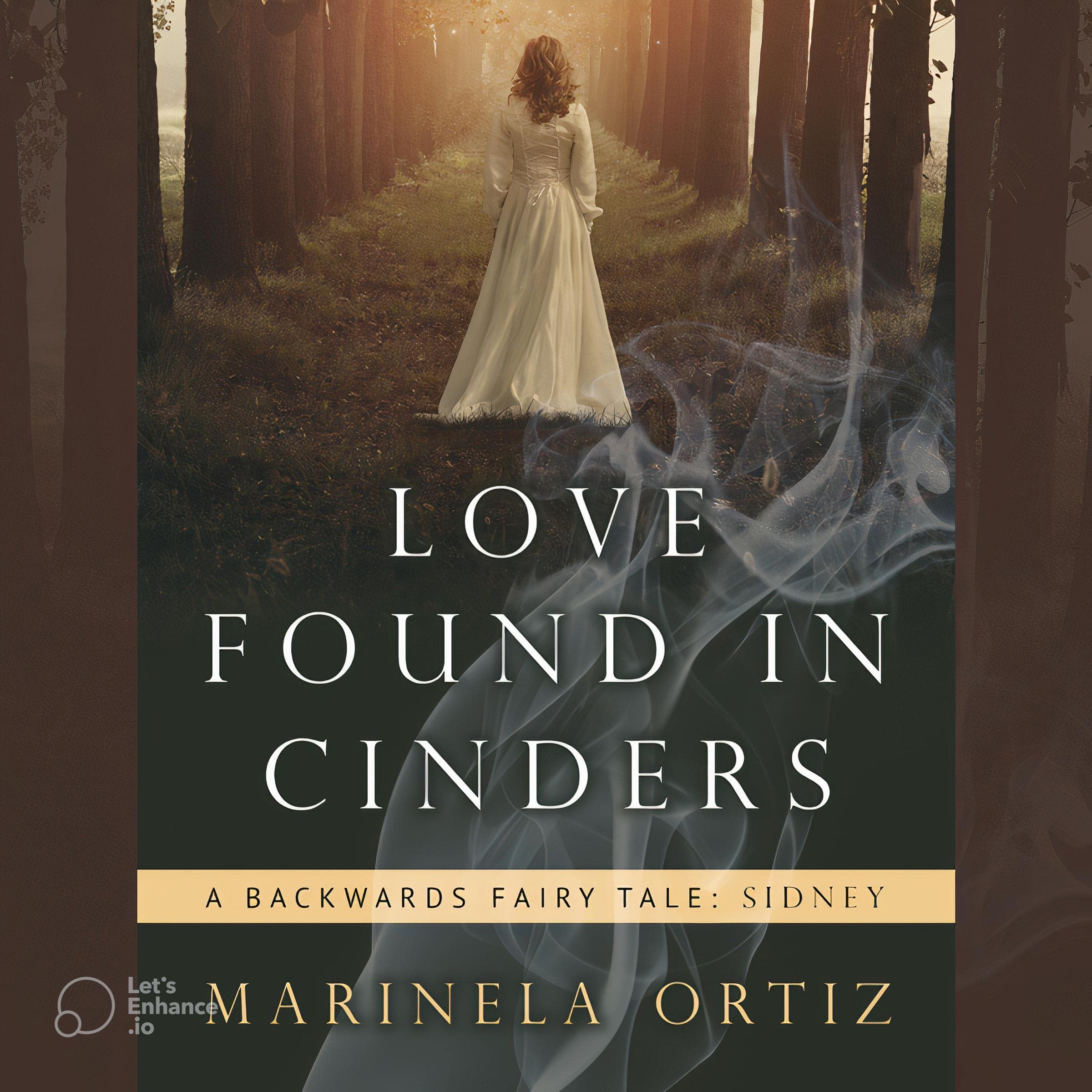 Cover art for Love Found in Cinders