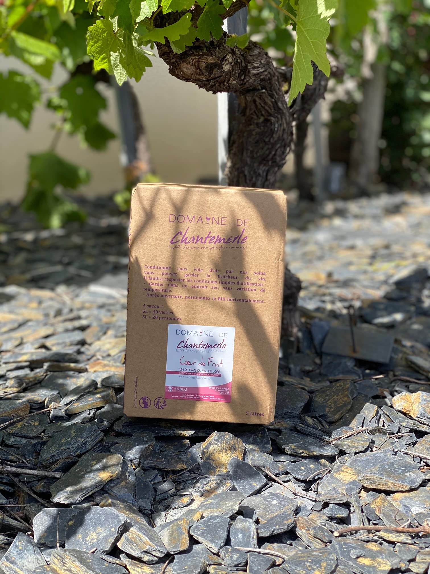 Cabernet d'Anjou 5L