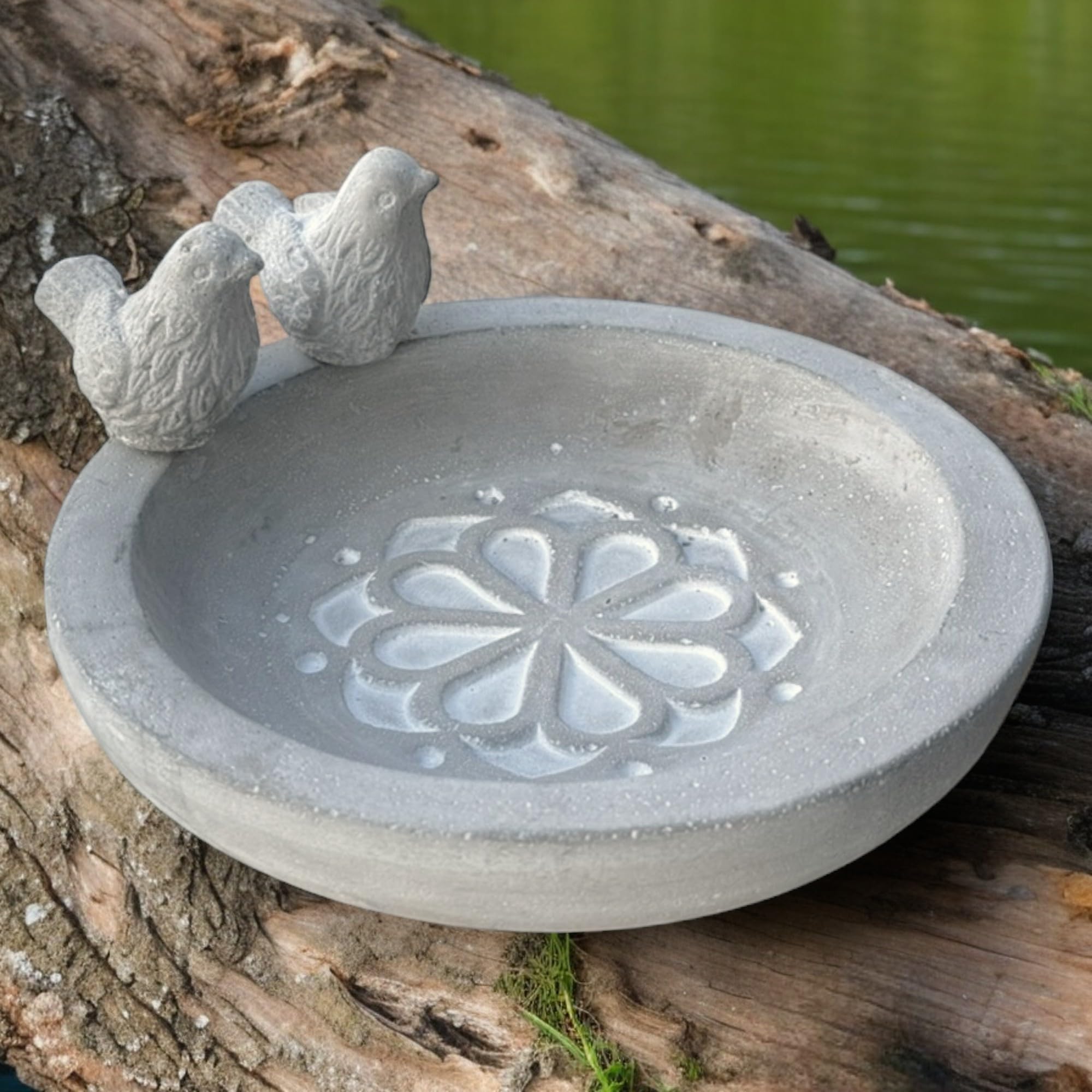 MIJOMA Bain d'oiseaux en ciment, décoration de jardin résistante au gel, pour oiseaux sauvages, bijou de jardin élégant (fleurs et oiseaux)