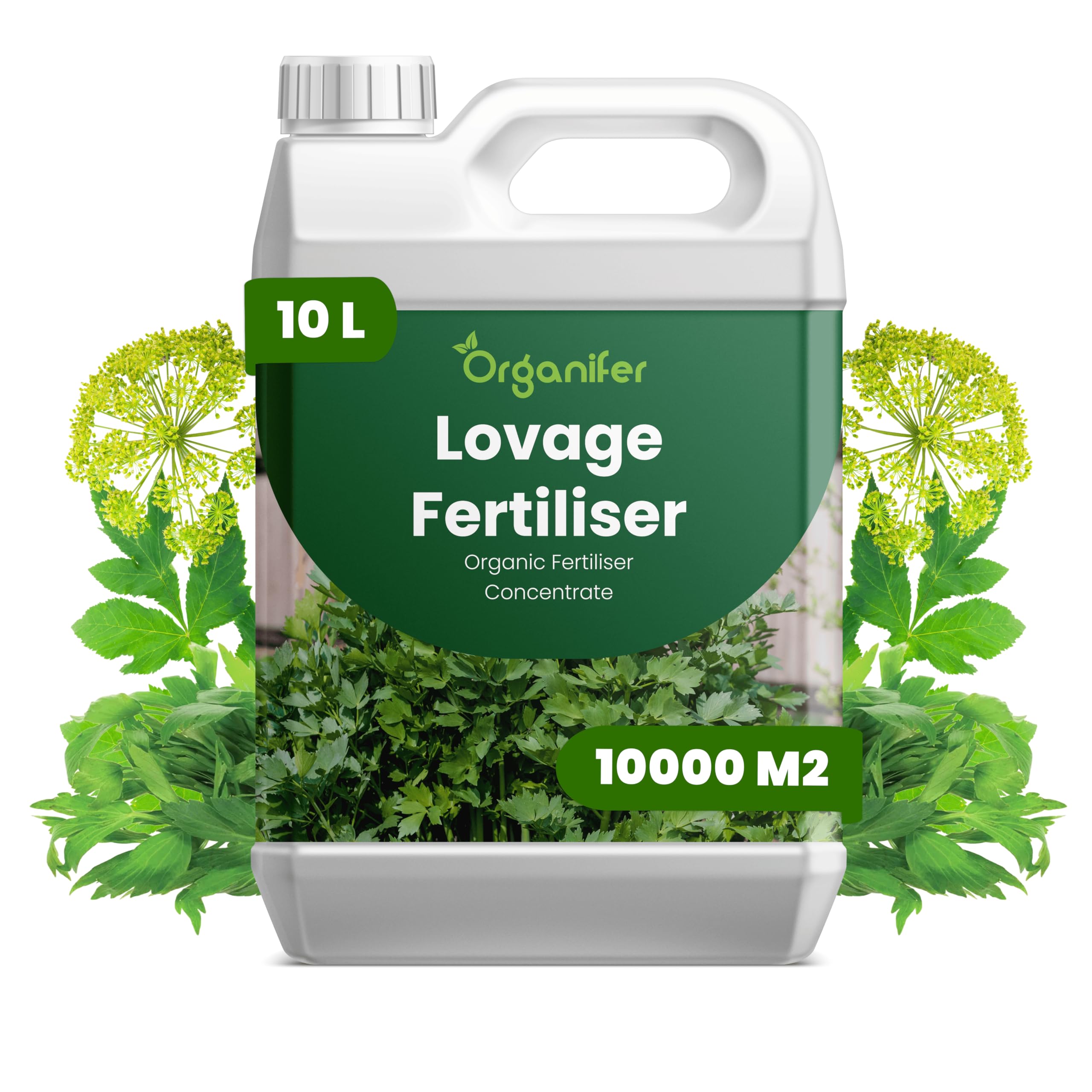 Liebstöckel Flüssigdünger 10L – Organischer Flüssig-Pflanzendünger für große Kräuterbeete, Garten und Hochbeet – Organifer