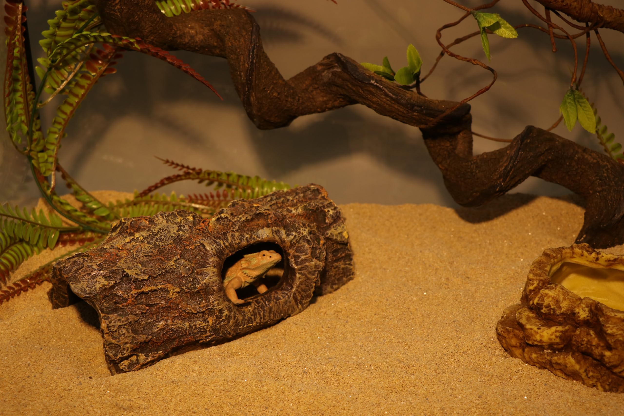 AQUA KT Reptilien Hohler Baumstamm Korkrinde Leopard Geckos Eidechsen Schlangen Klettern für Reptilien Lebensraum Dekor