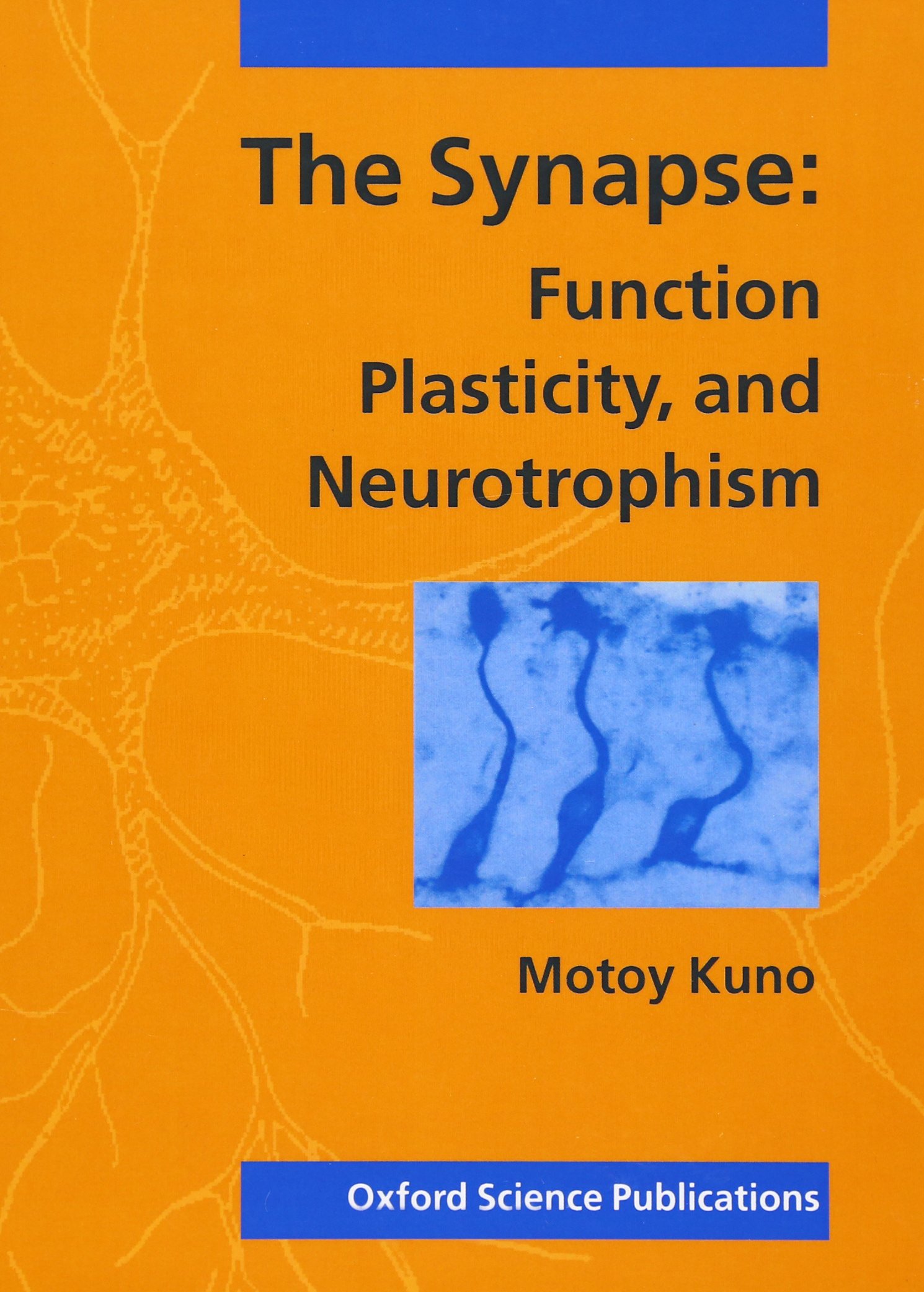 Amazon | The Synapse: Function, Plasticity, and Neurotrophism