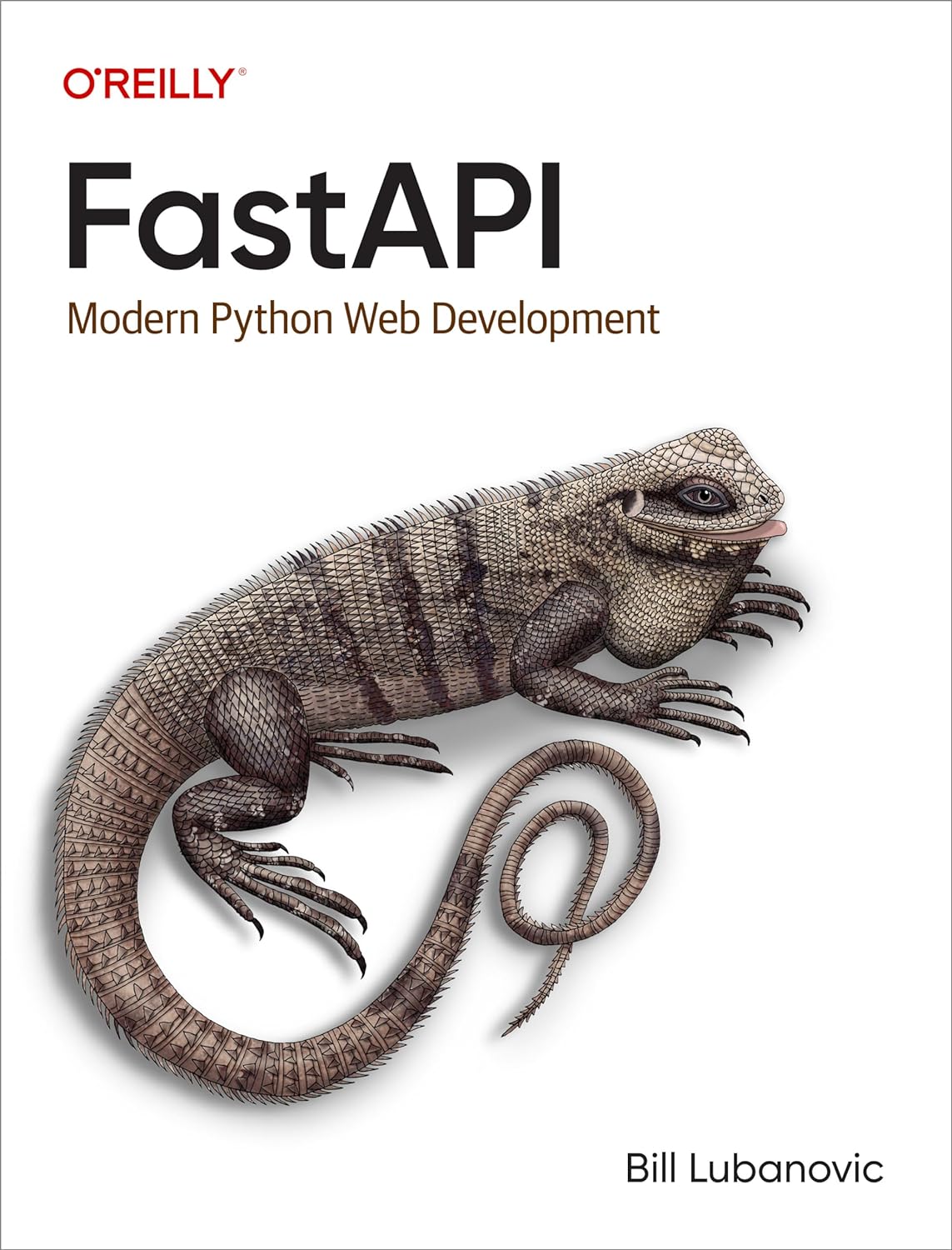 FastAPI: Modern Python Web Development: Lubanovic, Bill: 9781098135508 ...