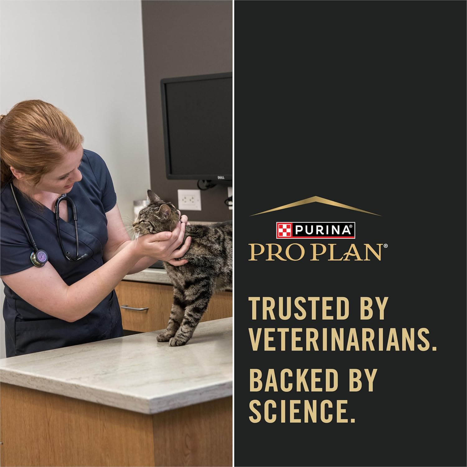 Purina Pro Plan Allergen Reducing, Sensitive Skin & Stomach, High Protein Cat Food, LIVECLEAR Turkey and Oatmeal Formula - 5.5 lb. Bag