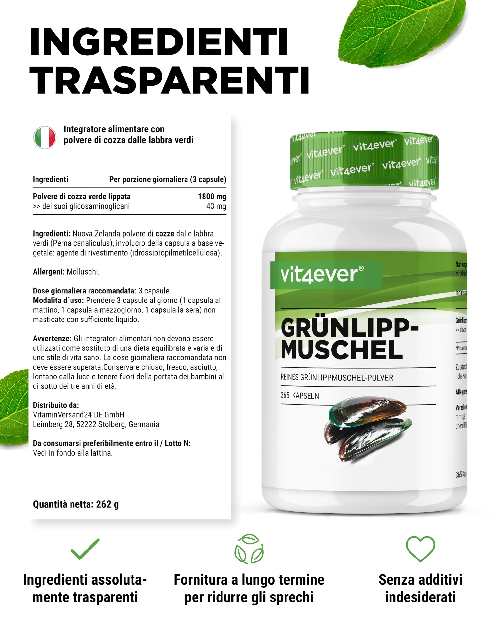 Cozza dalle labbra verdi - 365 capsule da 600 mg ciascuna - Con glicosaminoglicani - Estratto ad alto dosaggio - 100% polvere di cozza dalle labbra verdi della Nuova Zelanda senza additivi