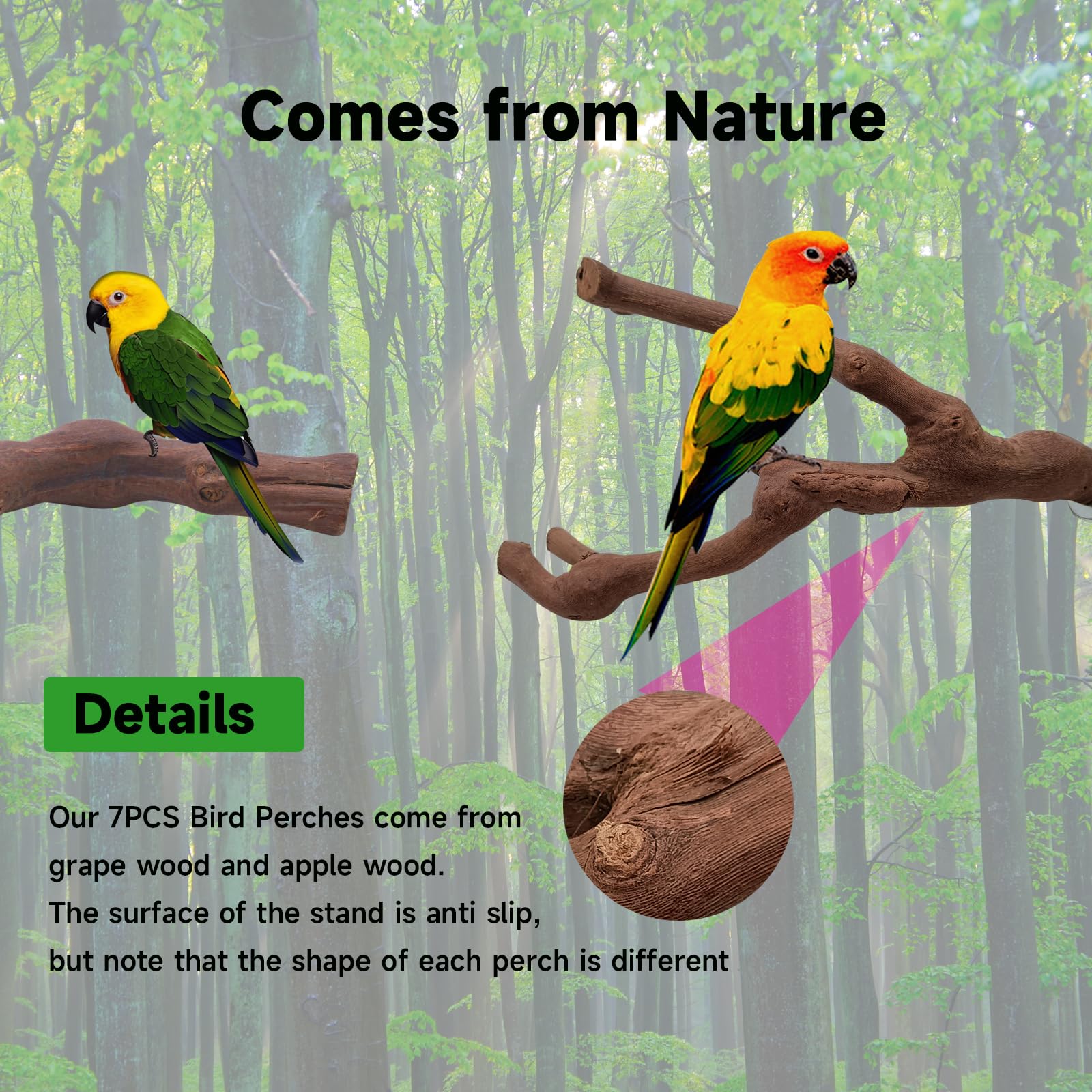 6PCS Bird Perches Natural Parrot Perch Stand for Cage, Grape Wood Stands, Bird Platforms, Parakeets Paw Grinding Fork Exercise Toys Set for Cockatiels, Conure, Parrot - image 6