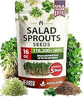 Vista 153 de HOME GROWN Semillas de eneldo sin OMG para plantar 1,014 ramos de semillas de eneldo y semillas de hierbas tradicionales para plantar al aire libre