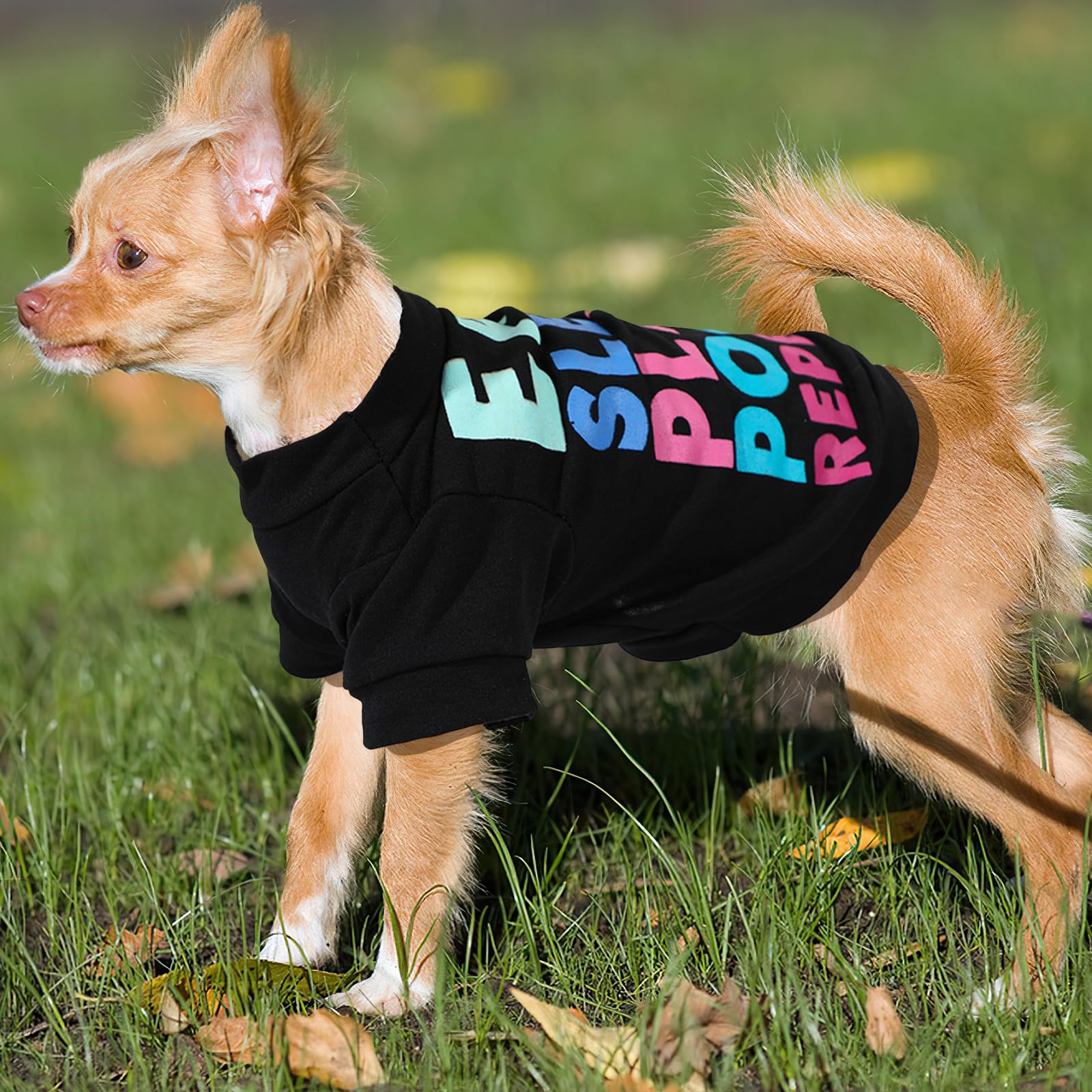 Ubrania dla małych psów dla małych psów, chłopca, chihuahua, ubrania yorkie, filiżanka do herbaty, wiosenna letnia koszula dla zwierząt domowych, ubrania dla szczeniaka, stroje, koszulka dla psa, 4