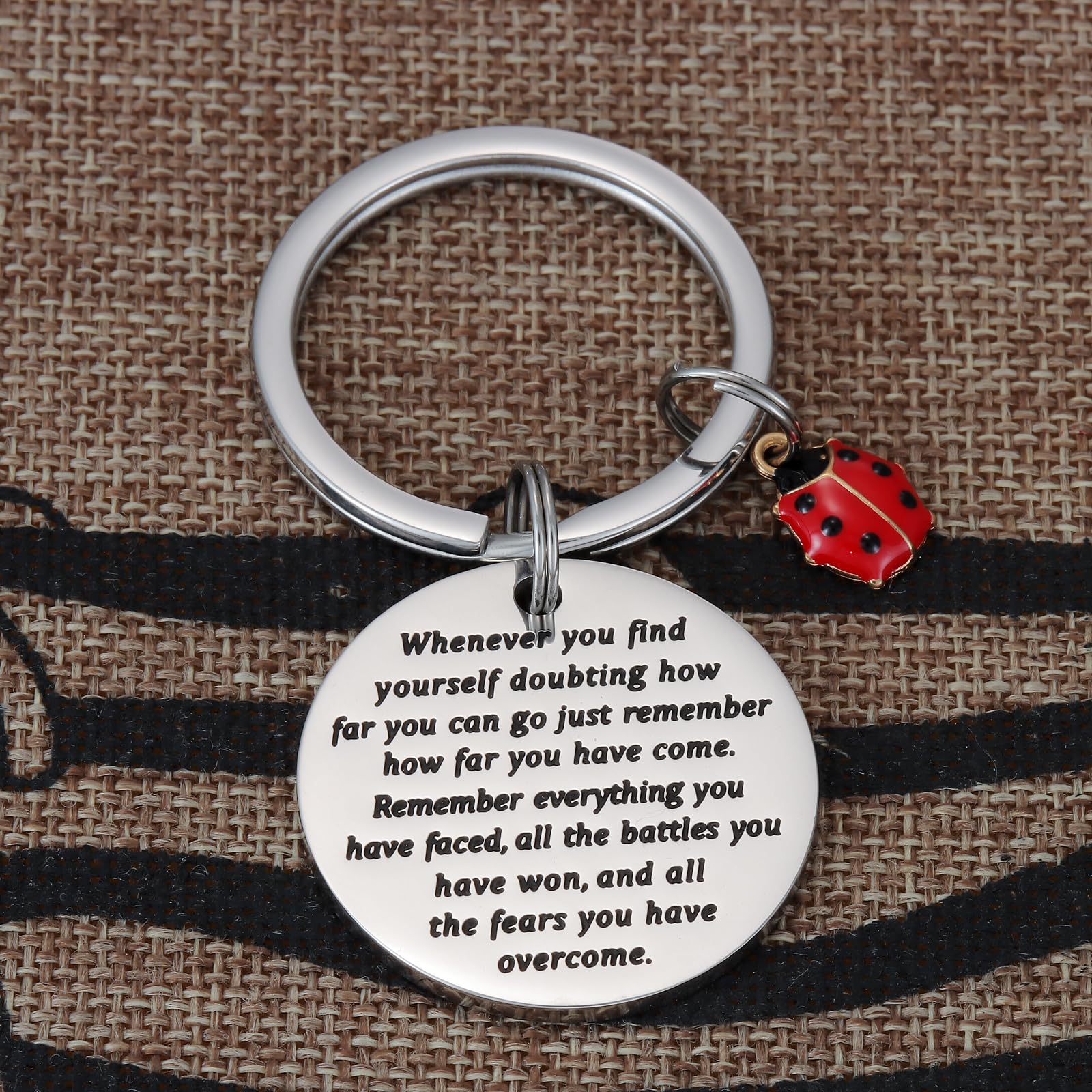 Kivosliviz Ladybug Keychain for Women Men Inspirational Miraculous Lady Bug Birthday Good Luck Jewelry Ladybug Keychains
