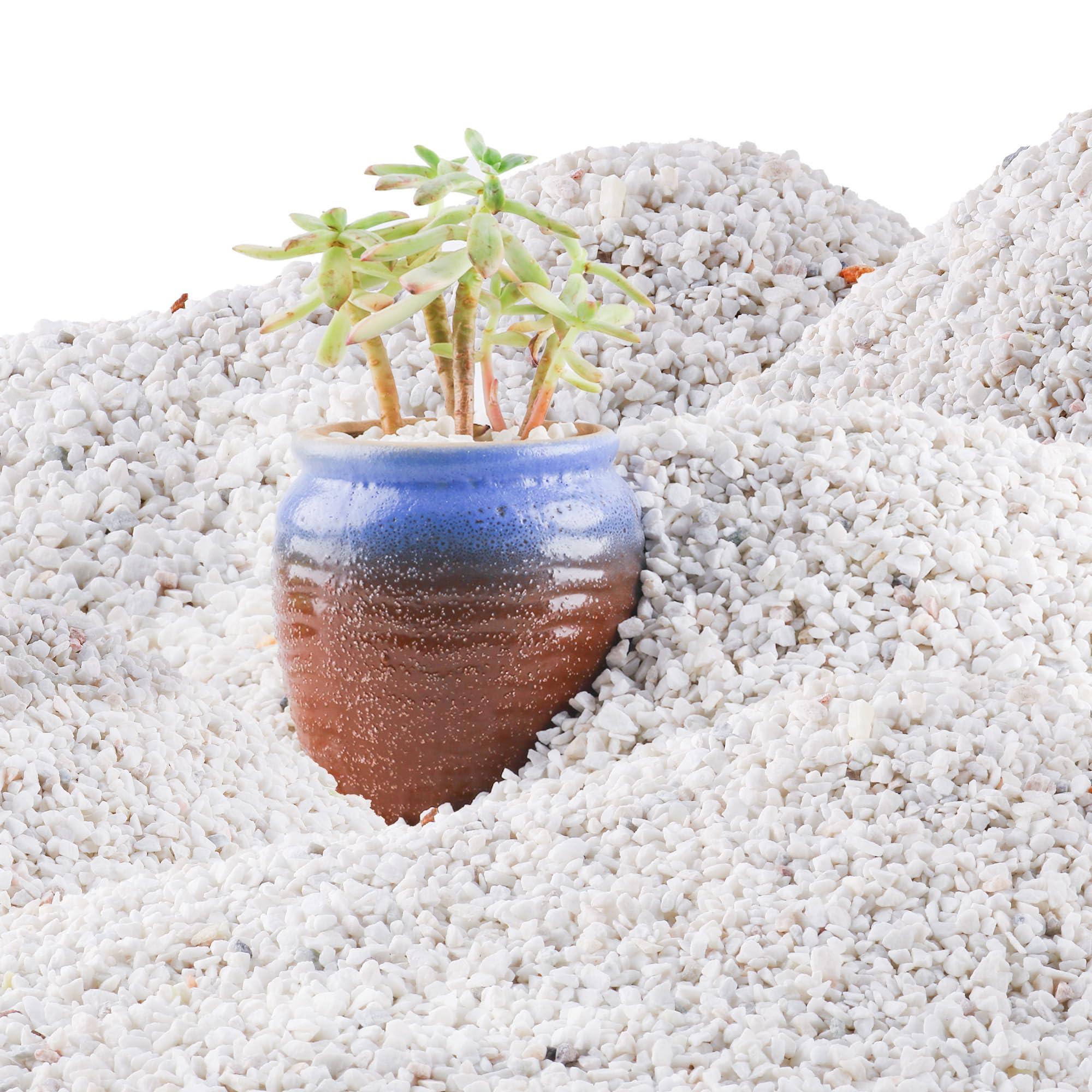 Grava blanca de 45 libras de 1/4 pulgadas para suculentas, bonsái de cactus, terrario de bricolaje, jardinería de hadas, aderezo superior, acuario