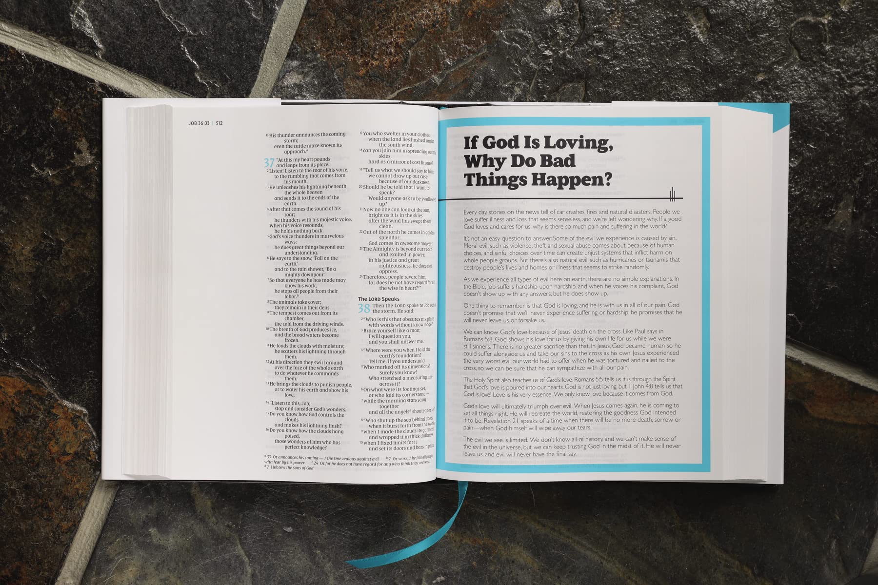 NIV, The Telos Bible, Hardcover, Comfort Print: New International Version, a Student’s Guide Through Scripture