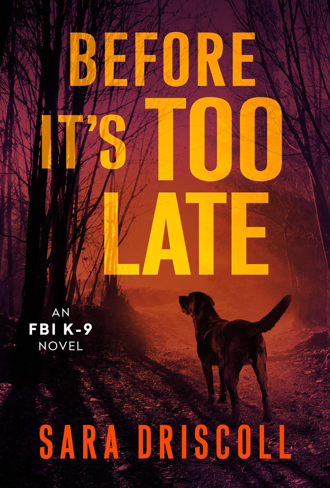Amazon | Before It's Too Late (An FBI K-9 Novel, 2) | Driscoll