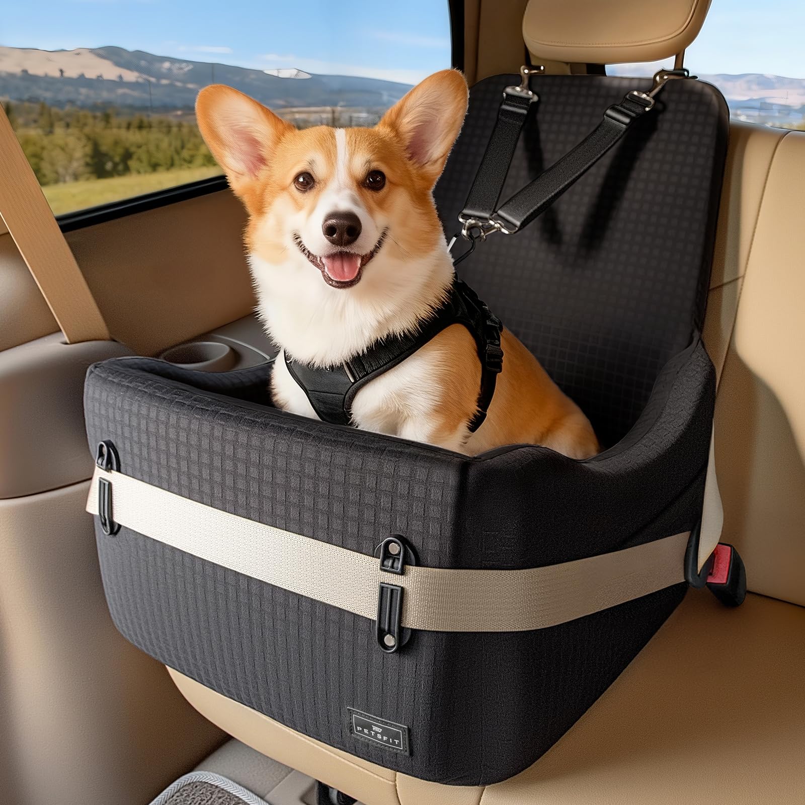 PETSFIT Dog Booster Car Seat