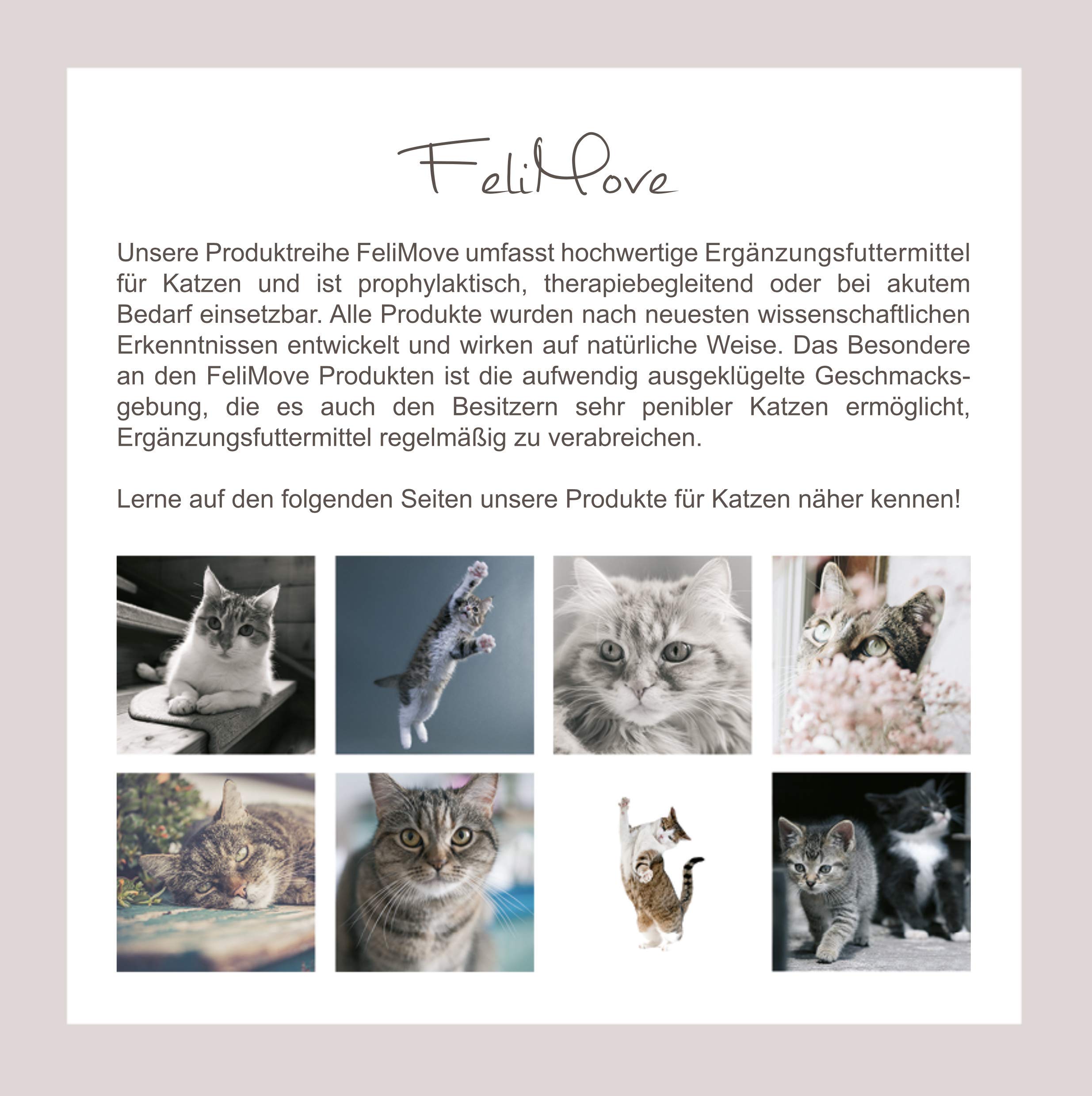 Urinary Doppelpack (2X 100 Kapseln) - Ergänzungsfuttermittel für Katzen bei Erkrankungen der unteren Harnwege (Fus/FLUTD) mit einzigartigen Inhaltsstoffen und Vierfach-Schutz.