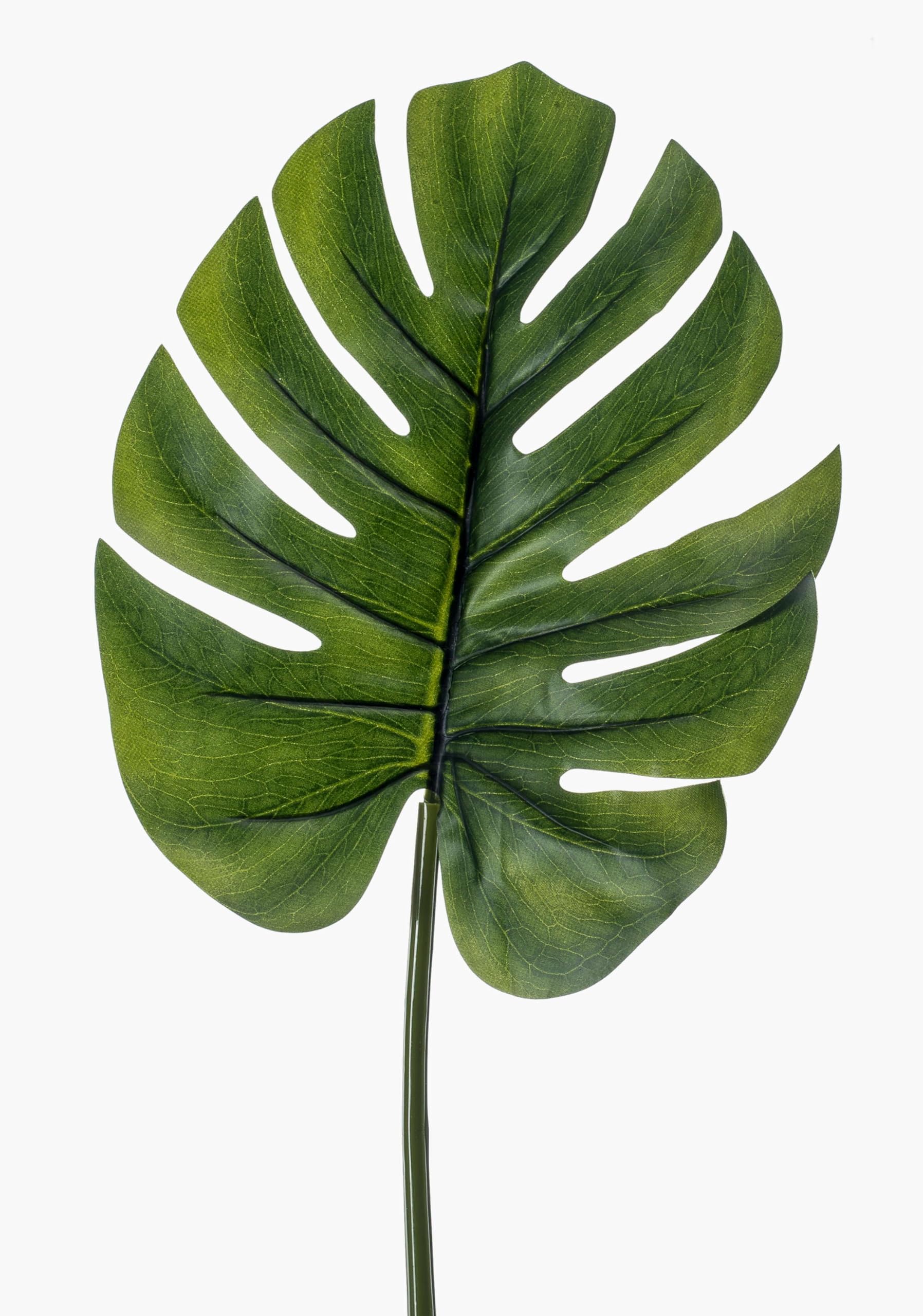 Amazon.de: artplants.de Kunstblatt Philodendron Monstera Deliciosa DRETA,  75cm - Deko Monstera - Kunstpflanze Philodendron