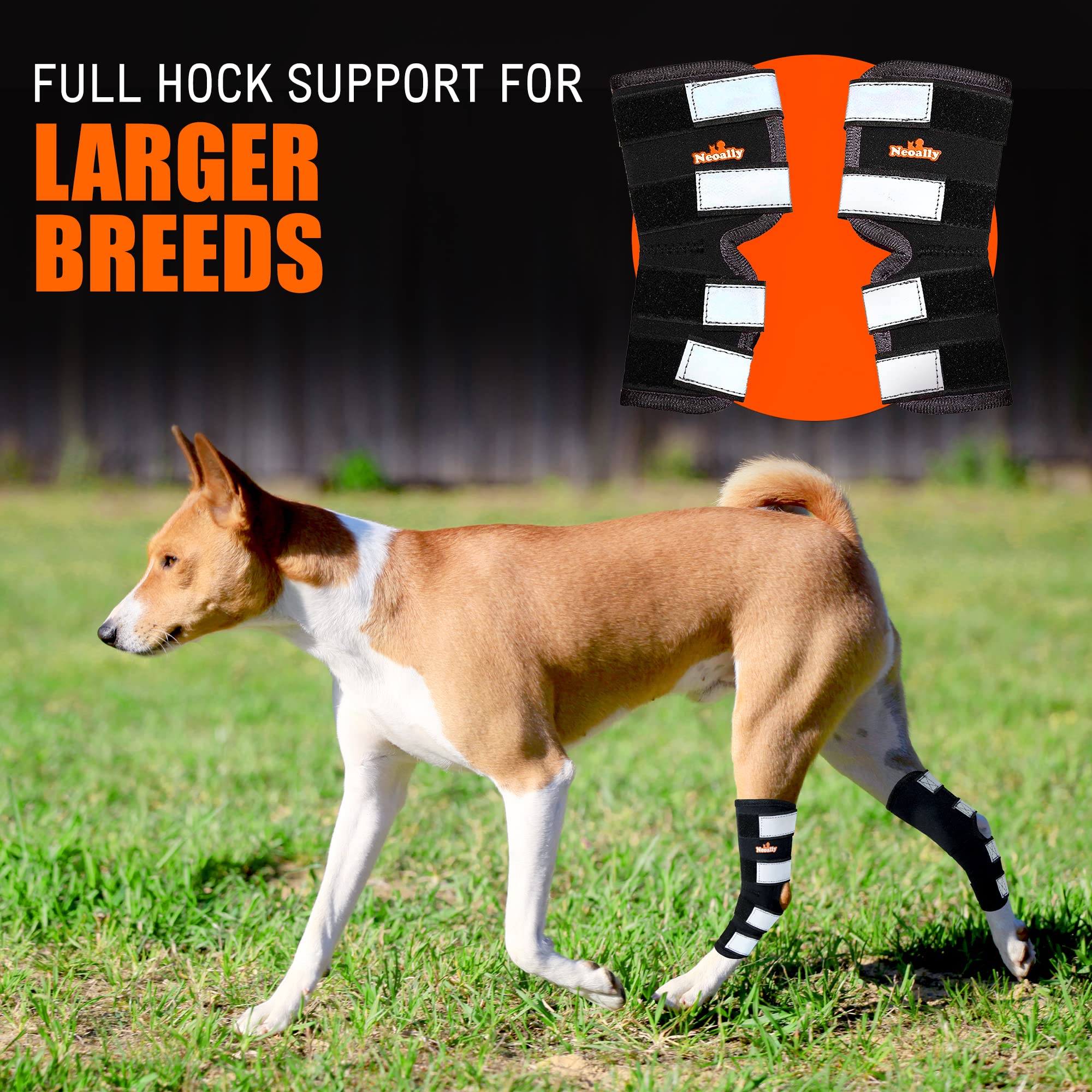NeoAlly Dog Rear Leg Brace Long Version Canine Hock Wraps with Safety Reflective Straps for