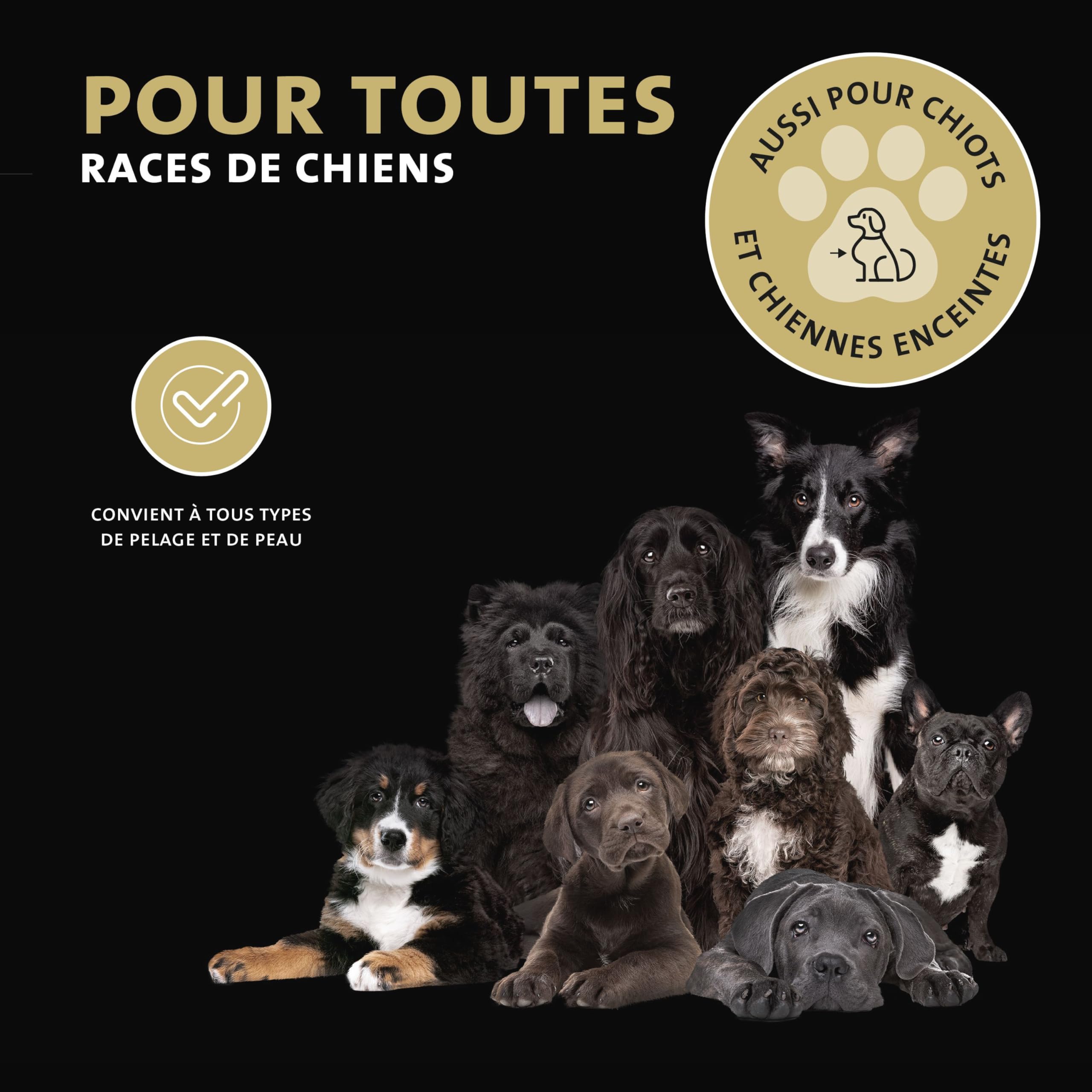 Peticare Shampoo Sec Naturel pour Chiens | Nettoyage sans Stress et Eau | Contre la saleté, Les odeurs | Soin du Pelage pour Tous Types de Poils | avec Huile d'argan et de Coco | petDog Health 2111