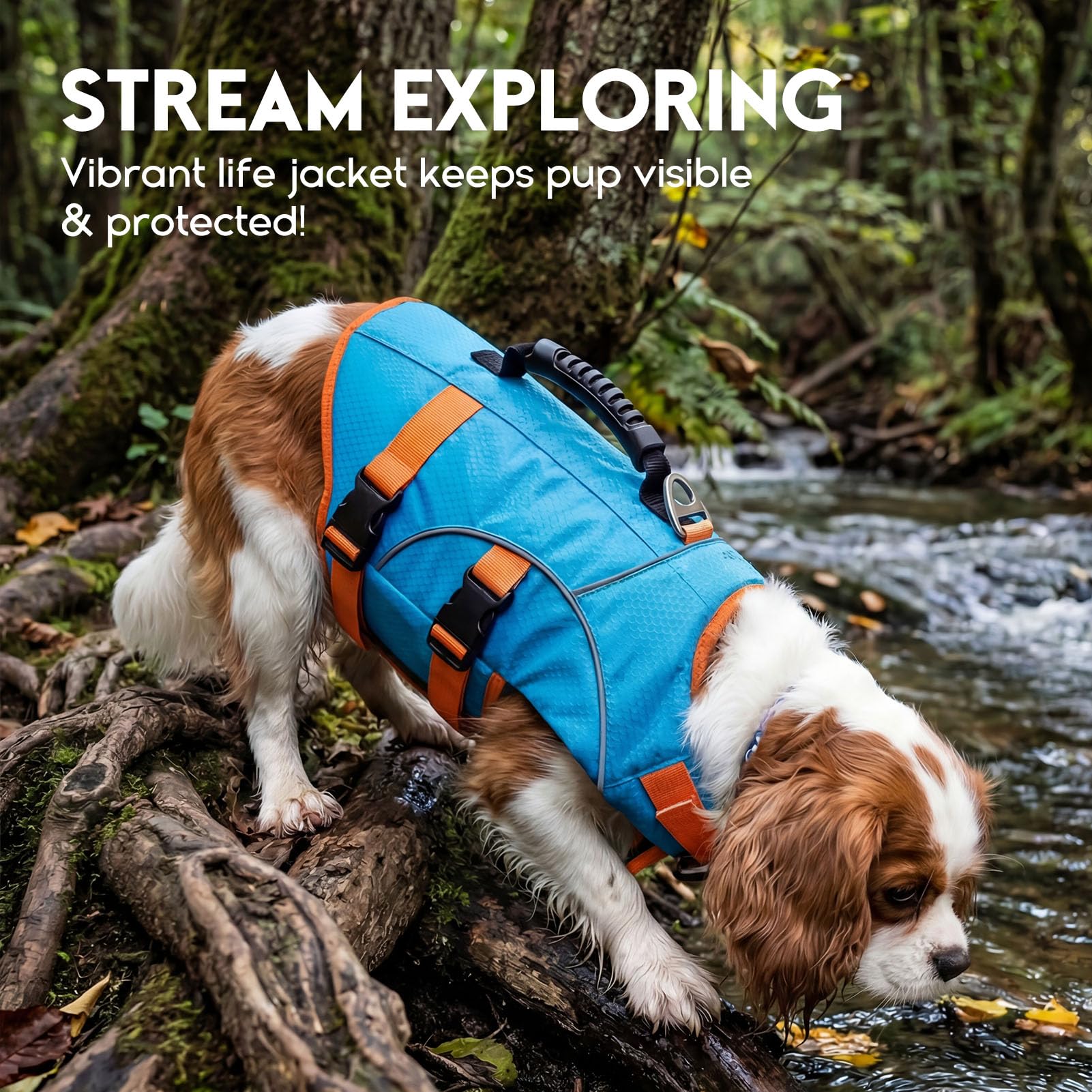 ASENKU Chaleco Salvavidas para Perros para Perros Pequeños, Medianos y Grandes, Arnés Ajustable + Asa de Transporte, Bandas Reflectantes, Ideal para Natación, Paseos en Barco y Actividades Acuáticas