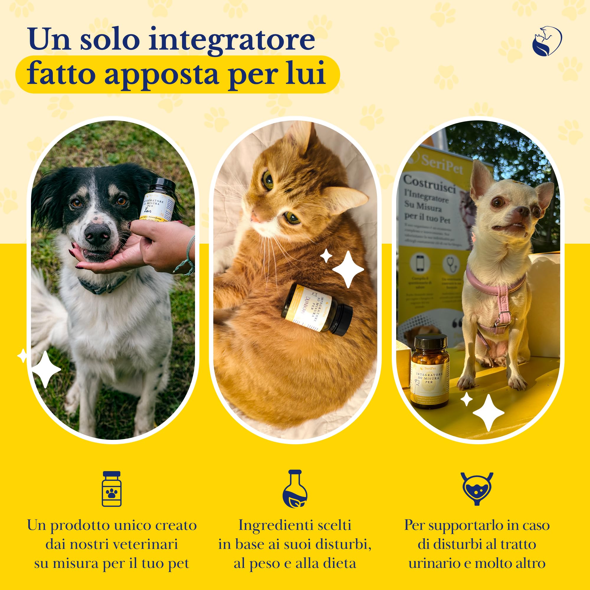 Integratore per Gatti per le Vie Urinarie personalizzato - Supporto Naturale Antinfiammatorio per Cistite e Benessere Urinario – con D-Mannosio, Cranberry, Uva Ursina e Omega-3-30 Capsule da 580 mg