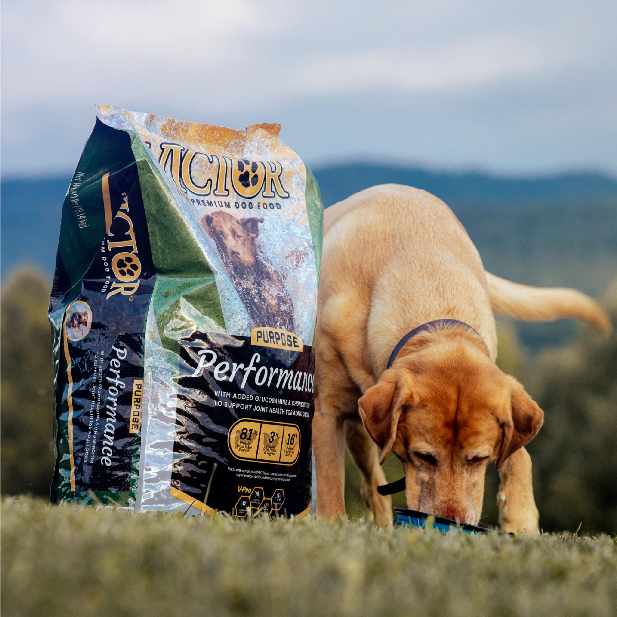 Amazon.com: VICTOR Super Premium Dog Food – Performance Dry Dog