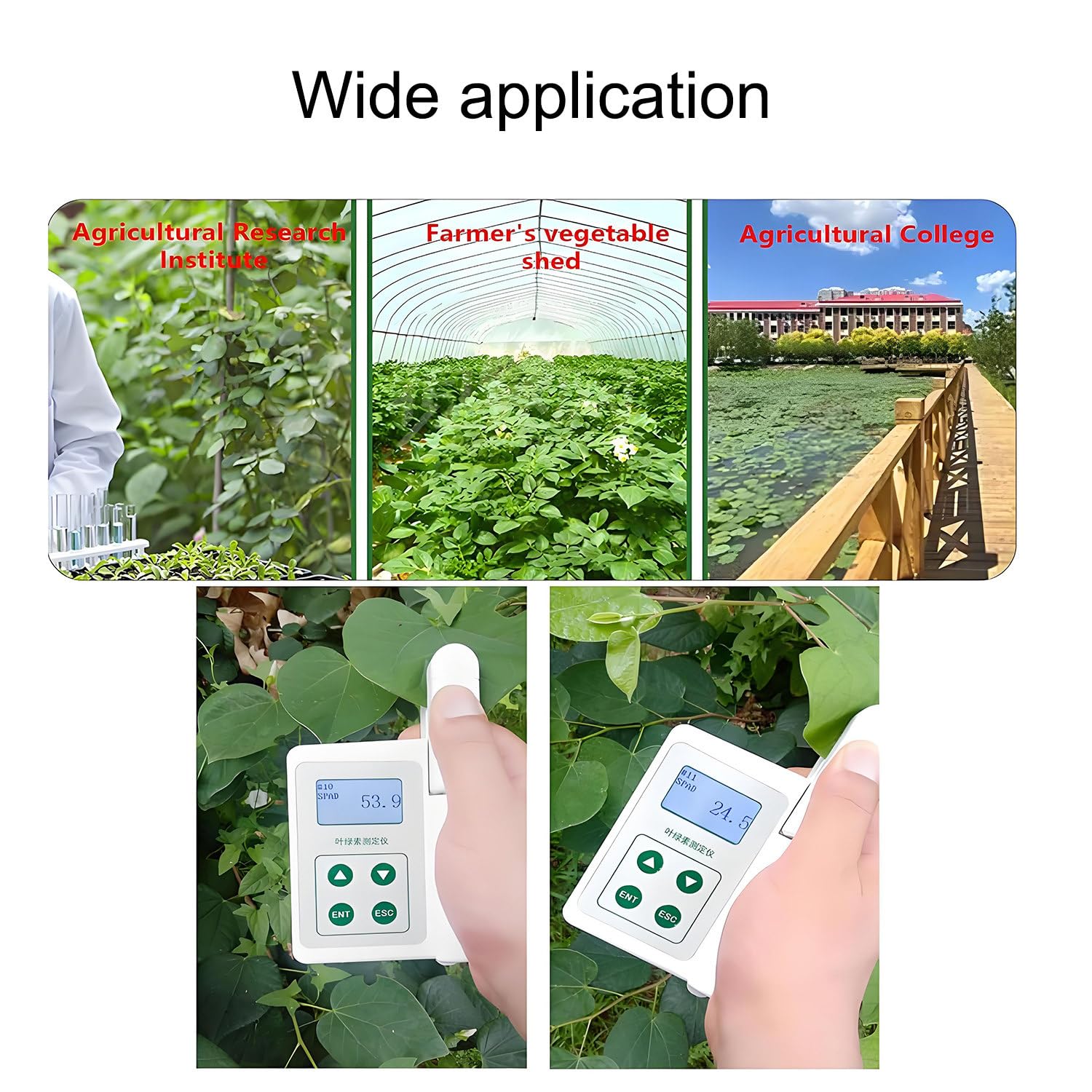 Medidor de clorofila portátil para una medición precisa, Ideal para Agricultores, jardineros e investigadores científicos.