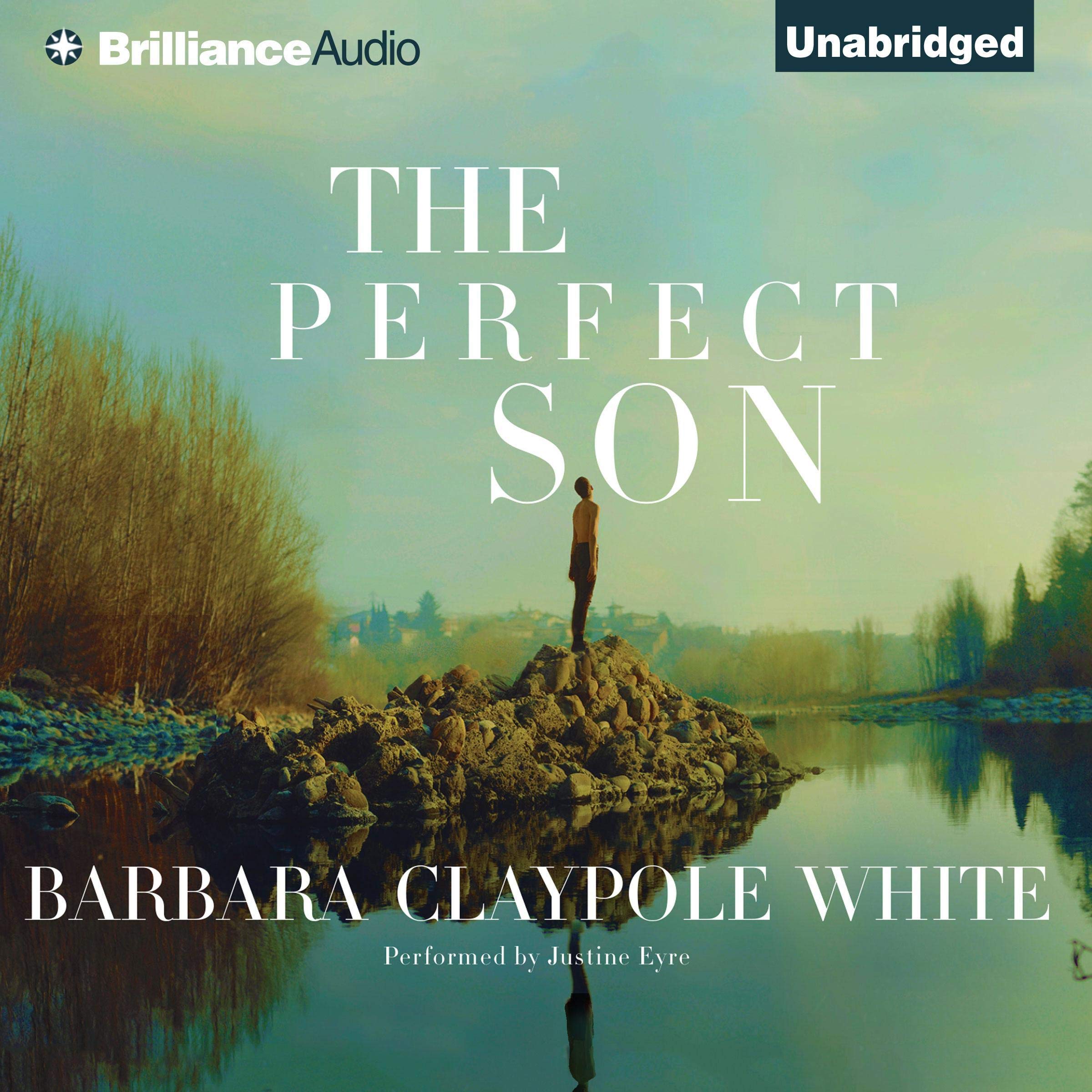 Cover art for The Perfect Son