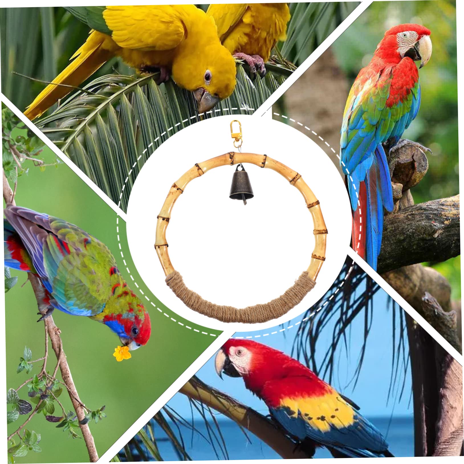 BESPORTBLE 5piezas Columpio para Pájaros para Periquitos y Loros Juguete Colgante para Ejercicio y Entretenimiento Jaulas Soporte Estable y Duradero para Actividad y Coordinación Mascotas
