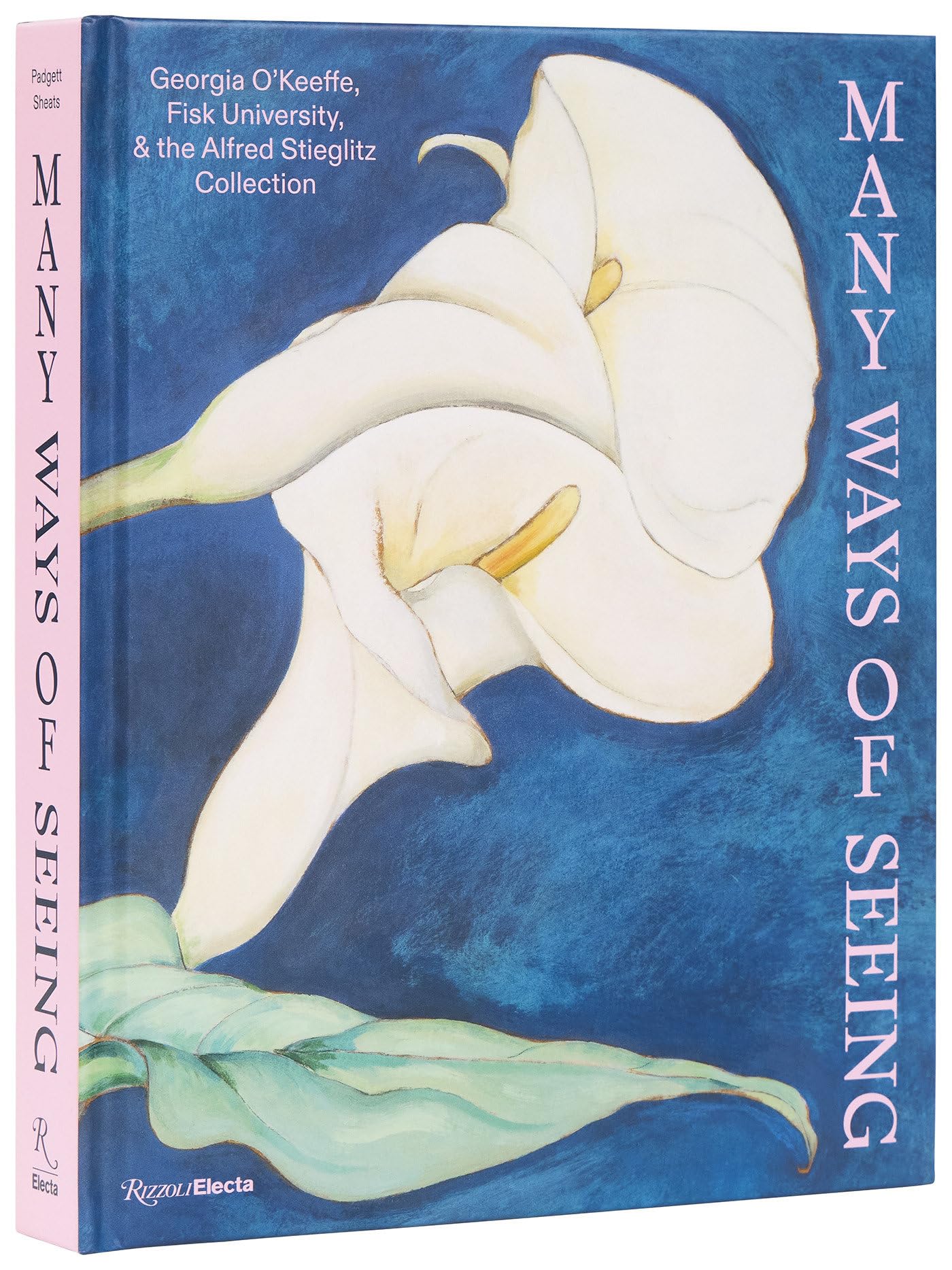Many Ways of Seeing: Georgia O’Keeffe, Fisk University, and the Alfred Stieglitz Collection