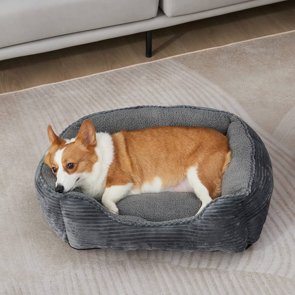 How To Wash A Dog Bed Casper atelieryuwa.ciao.jp