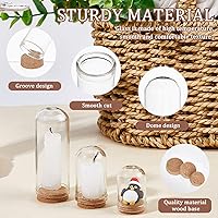 Vista 6 de CRASPIRE 25 piezas de cúpula de cristal de 3 tamaños, mini tarro de campana con base de corcho, cubierta de soporte de corcho, frasco decorativo