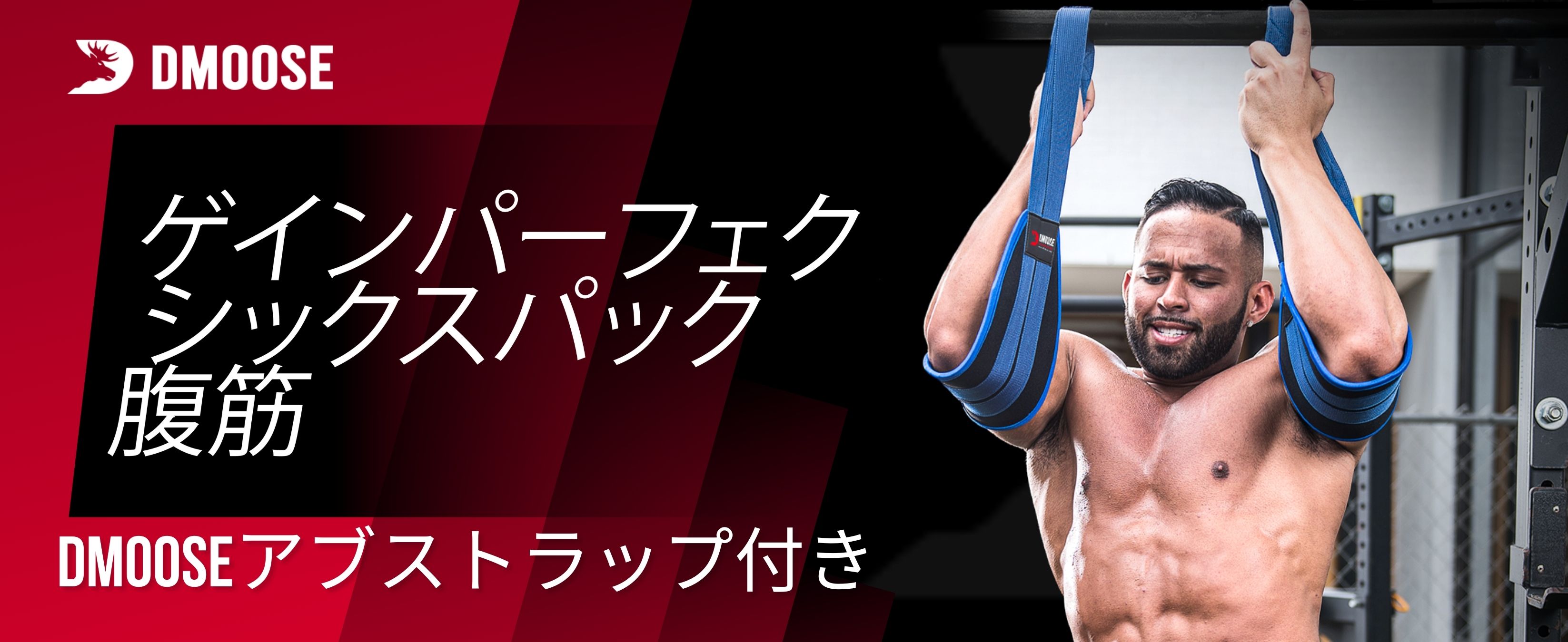 Amazon | DMoose Fitness ぶら下がり式アブストラップ 懸垂バー＆体幹