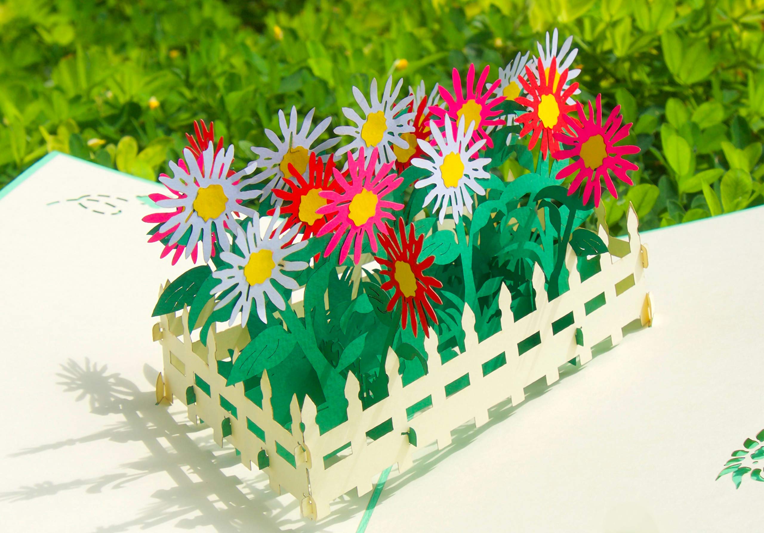 SLOVECRAFT Daisy Patch Pop Up Card, Pop Up Flower Cards, Grandma Birthday Card , Wedding Anniversary Card, Mothers Day Card, 3D Birthday Card For Wife, Women, Handmade Flower Greeting Cards