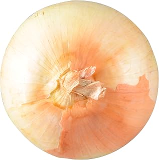 Bristol Farms Yellow Onion, 1 Count - Fresh Premium Produce for Cooking, Soups & Salads
