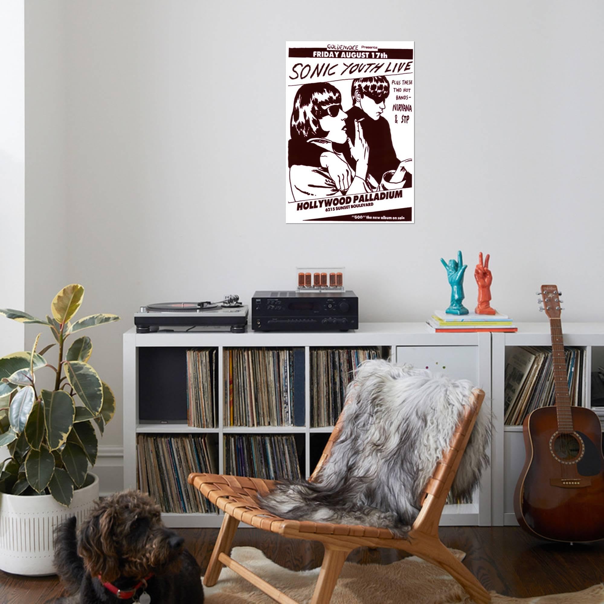 Amazon.com: AllPosters Wall Poster Vintage Sonic Youth NIRVANA STP