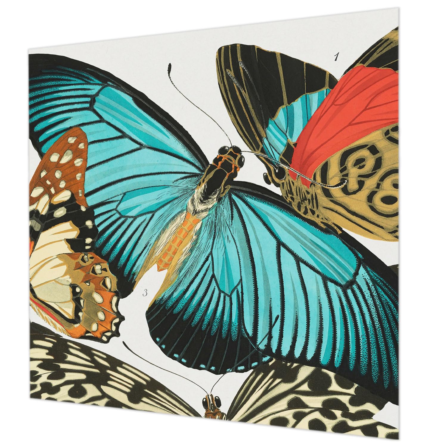Revêtement mural intissé 250x250 cm chambre décoration papillons colorés