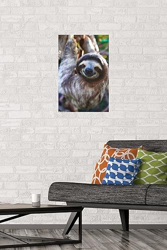 Miniatura 2 de Trends International Sloth - Póster de pared de sonrisa, 14.725 x 22.375 pulgadas, versión premium sin marco