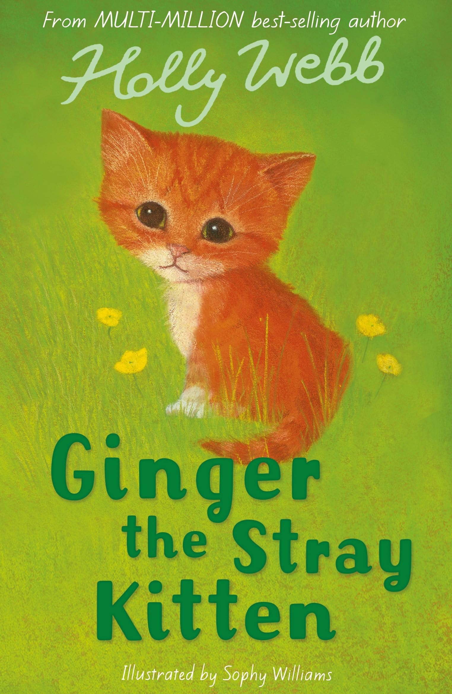 Ginger the Stray Kitten: 8 (Holly Webb Animal Stories, 8)
